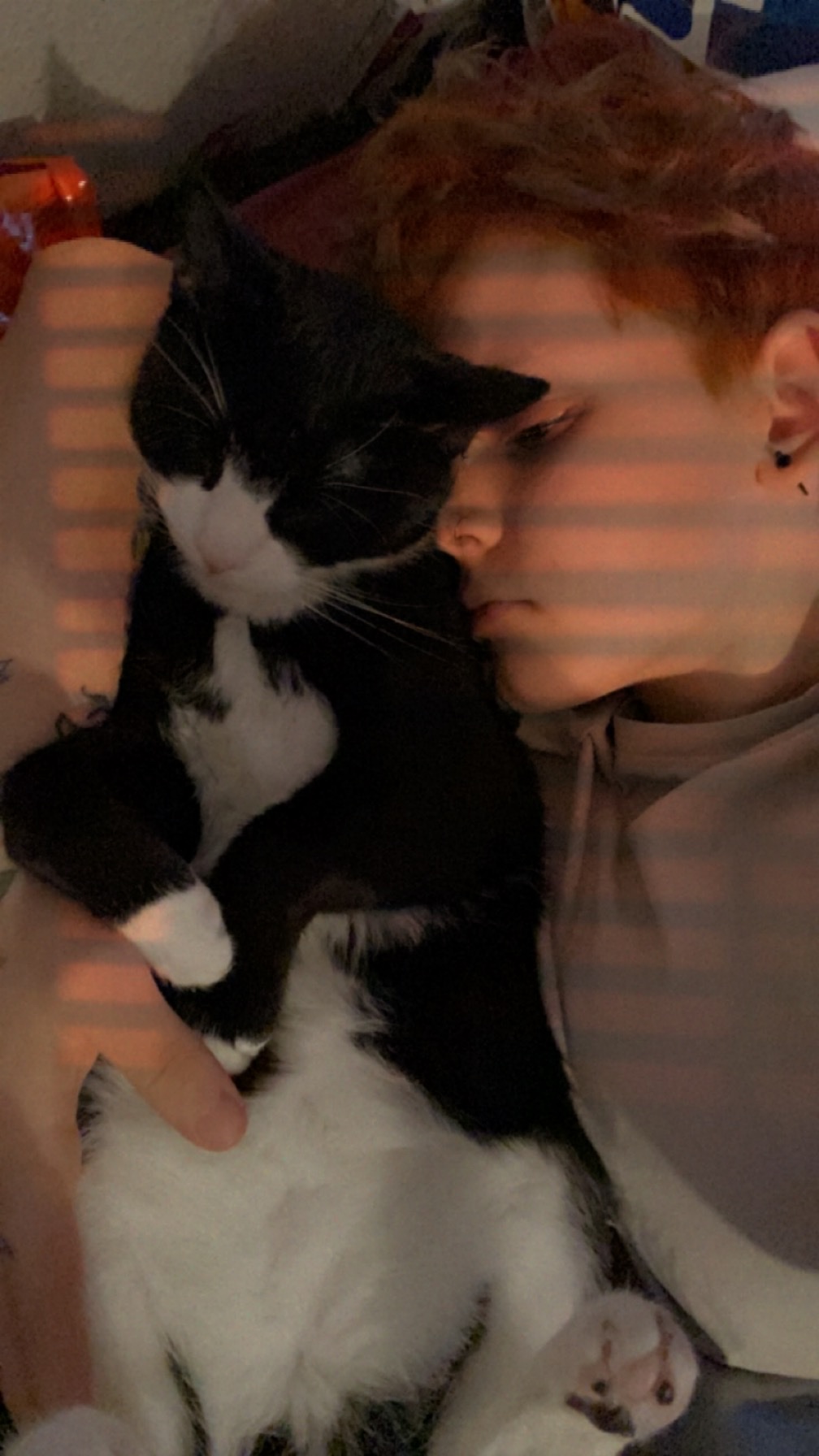 image-7