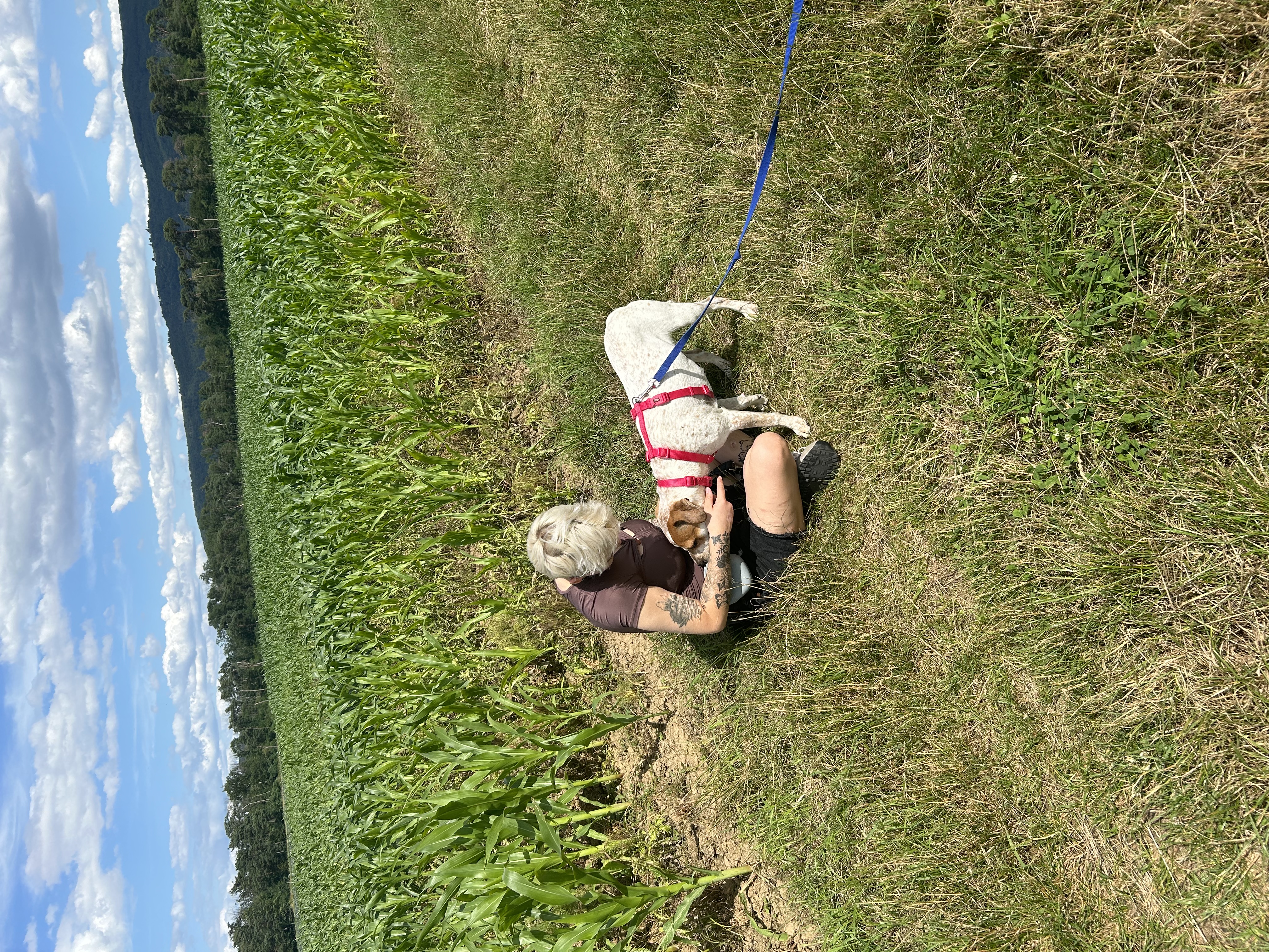 image-9