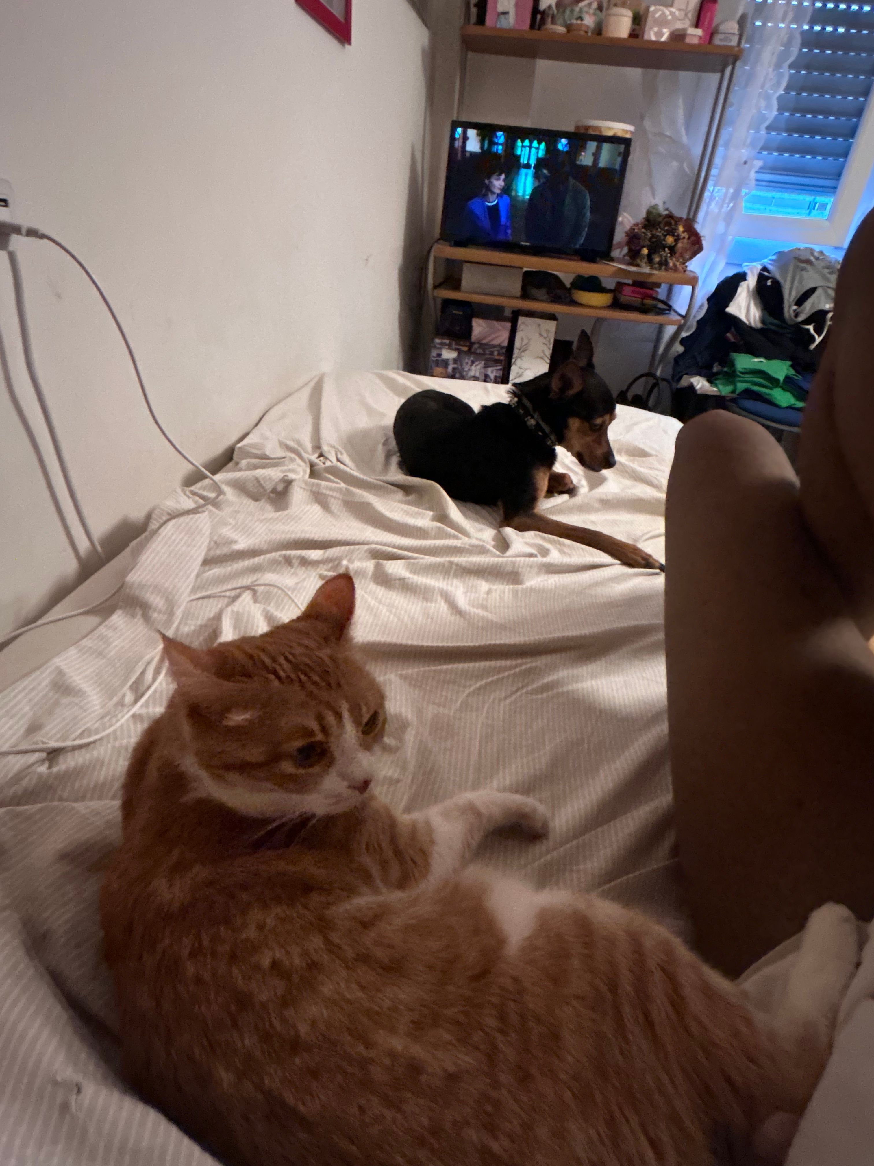 image-5