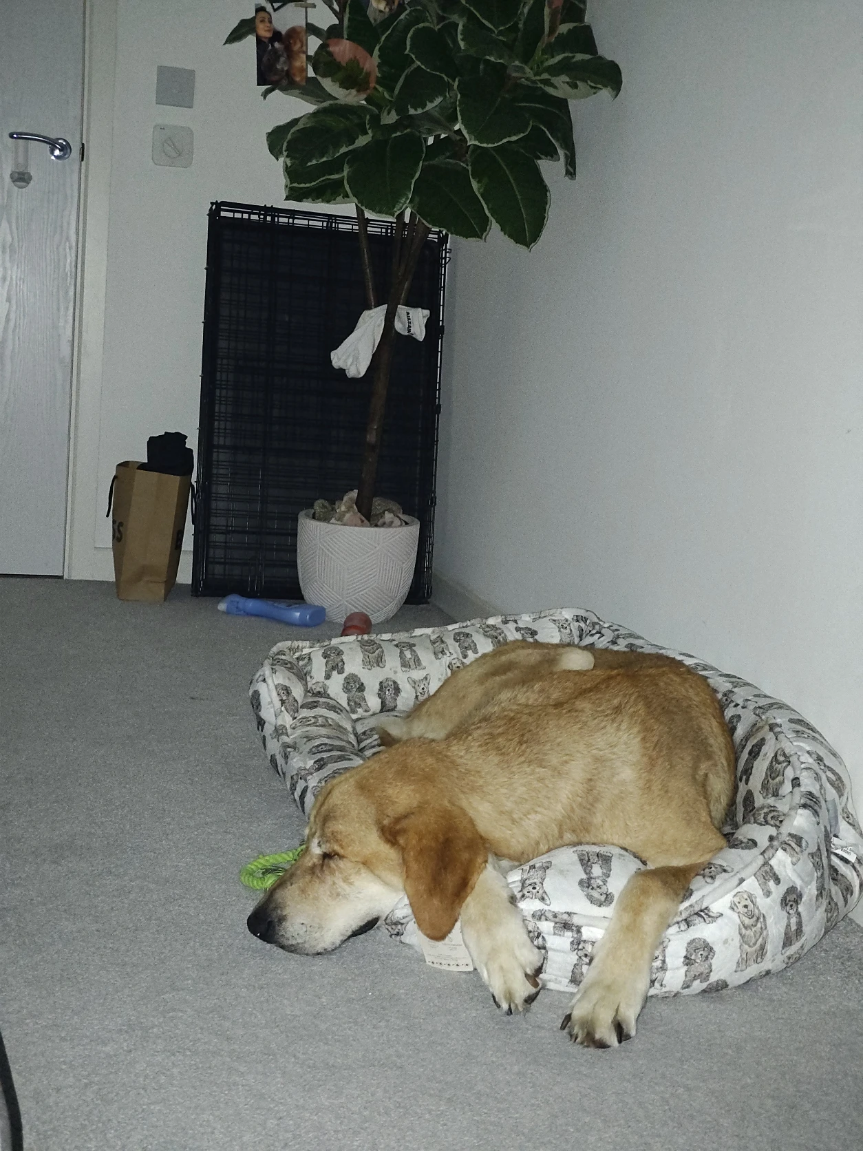 image-15