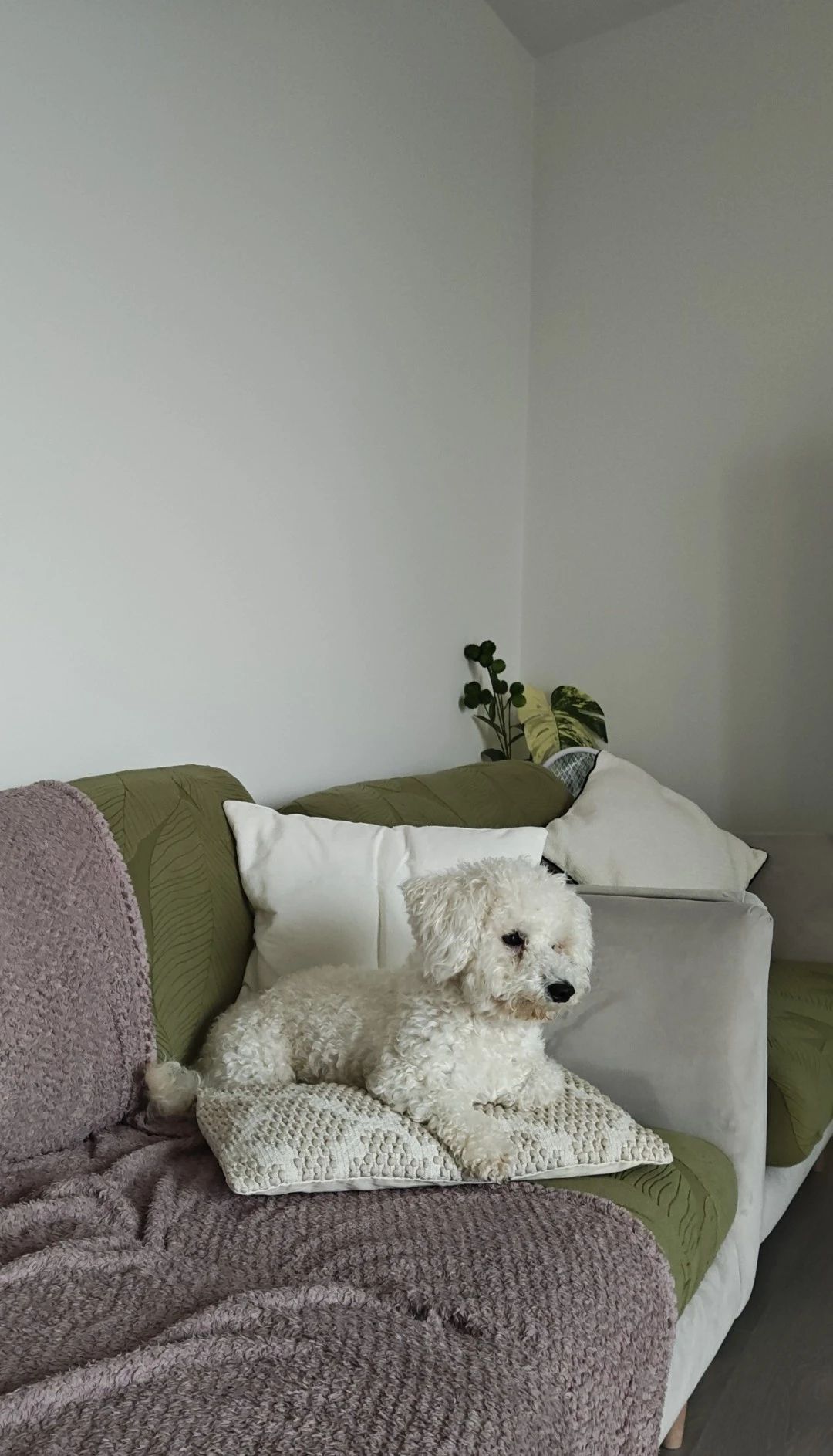 image-16