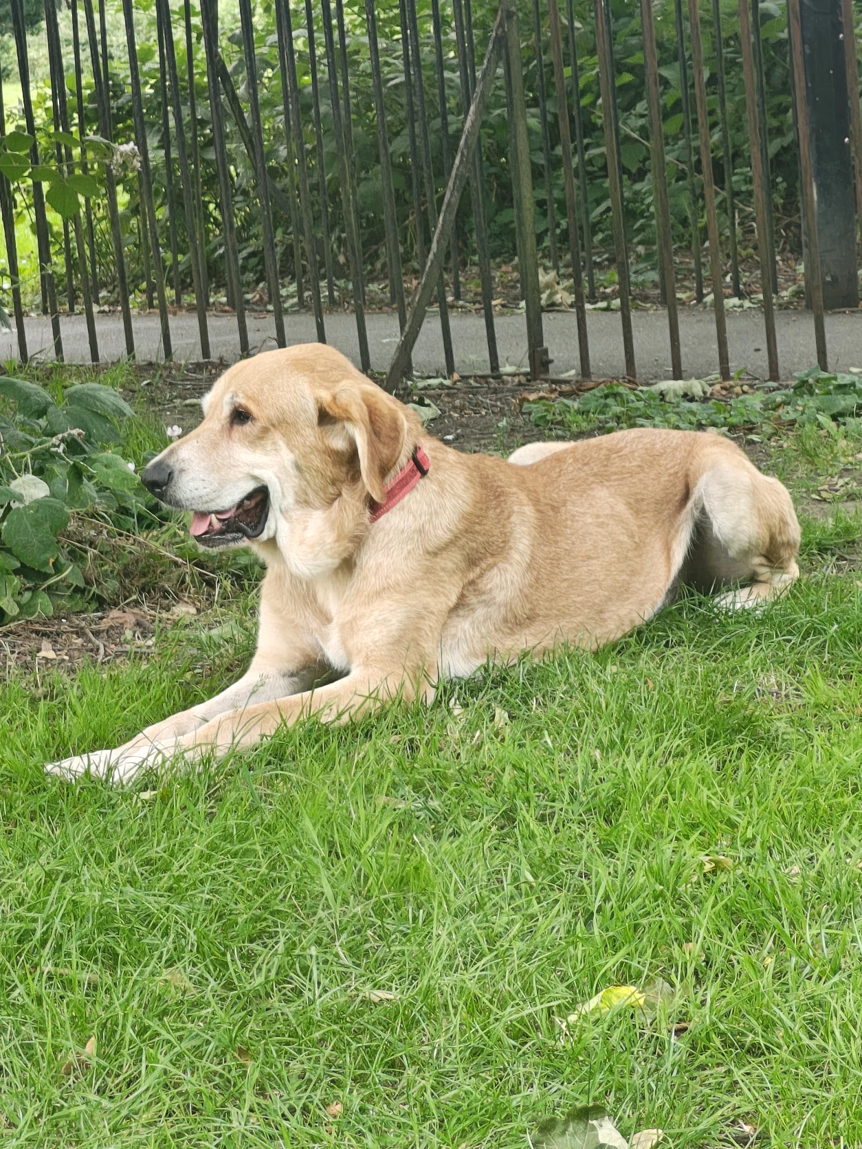 image-14