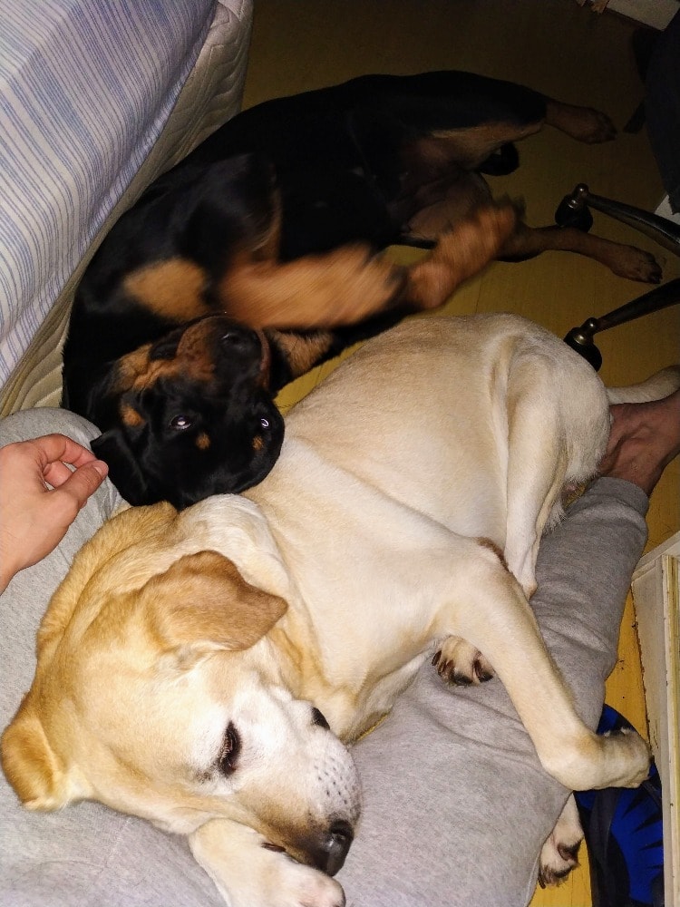 image-9