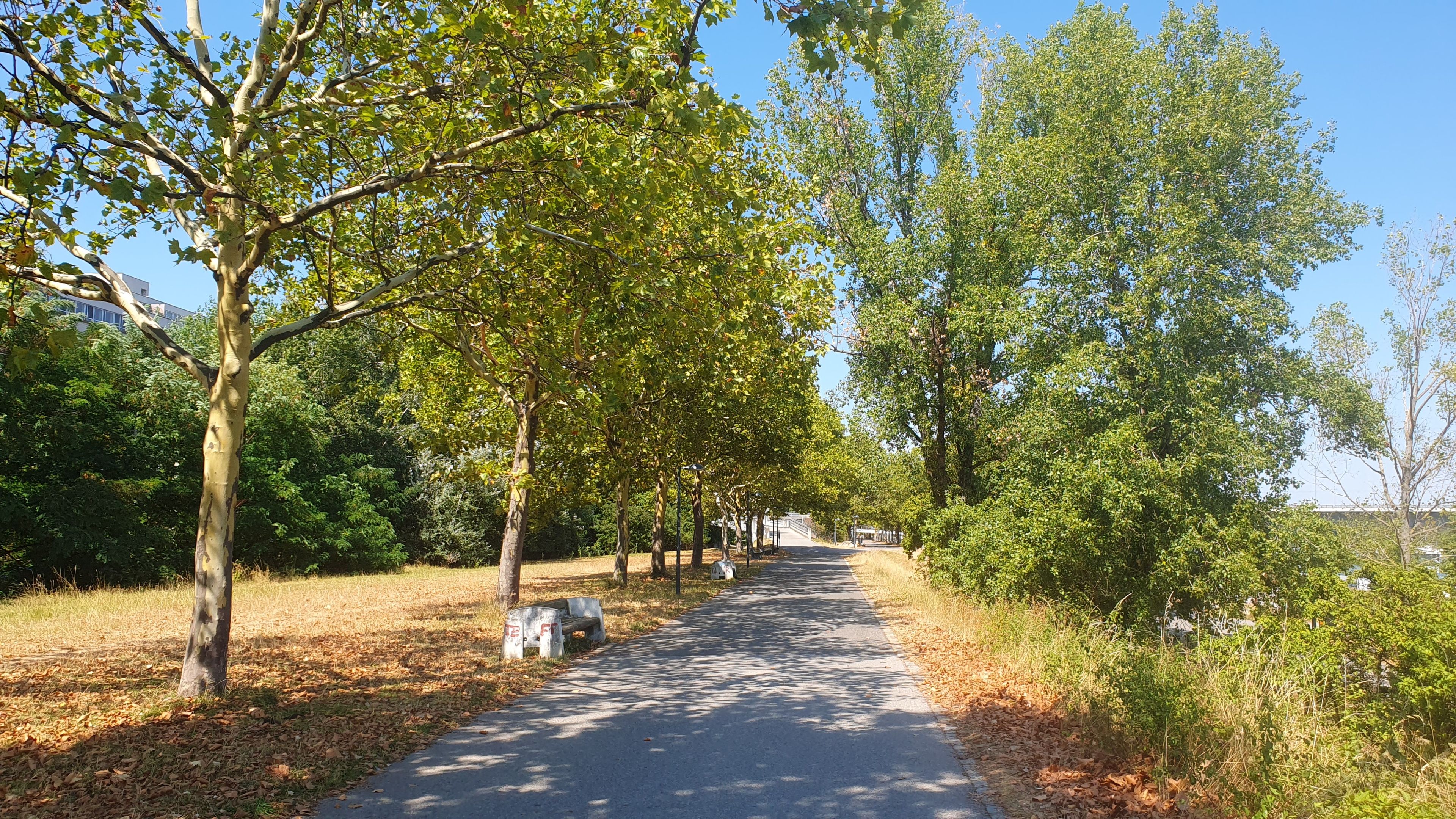 image-44