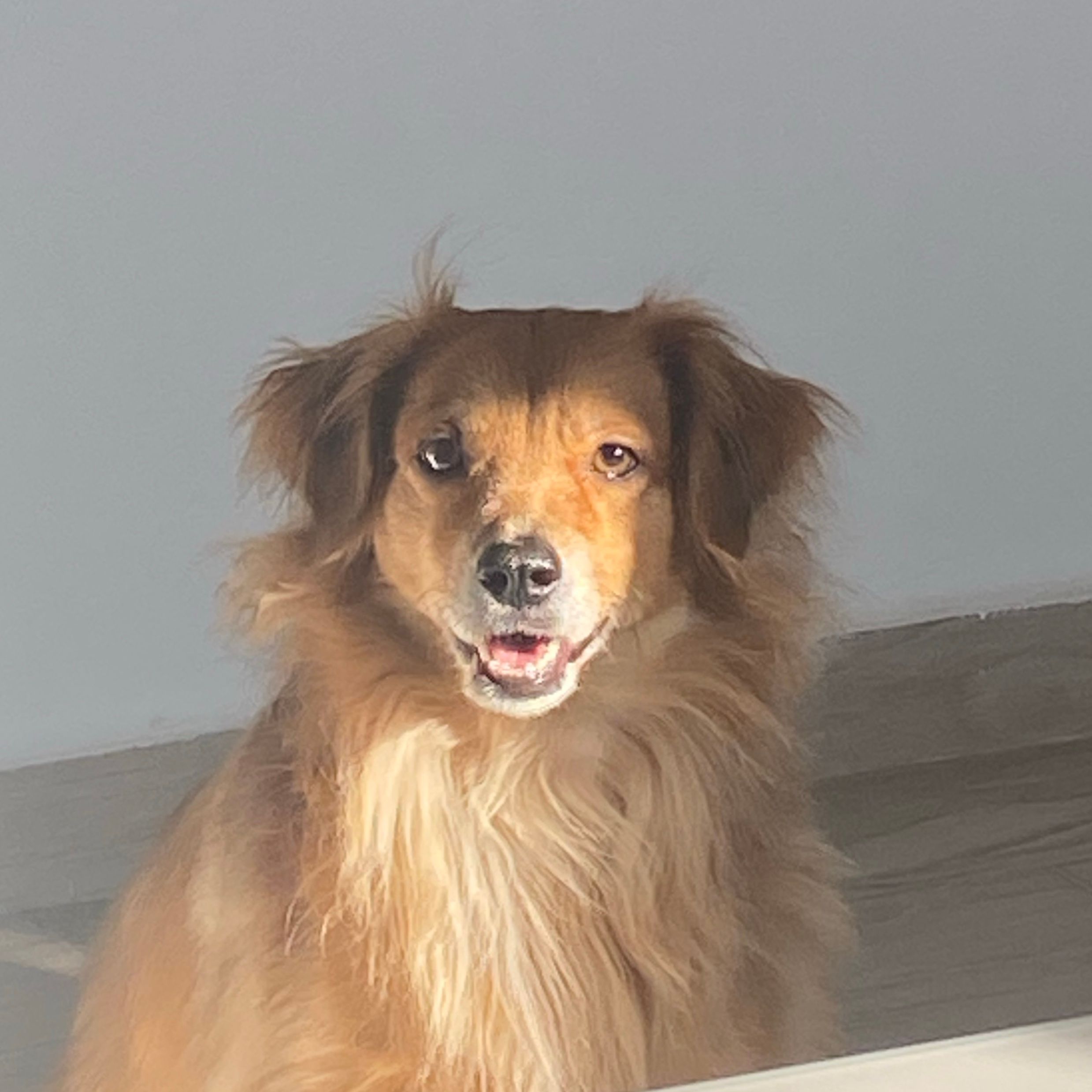 Athena