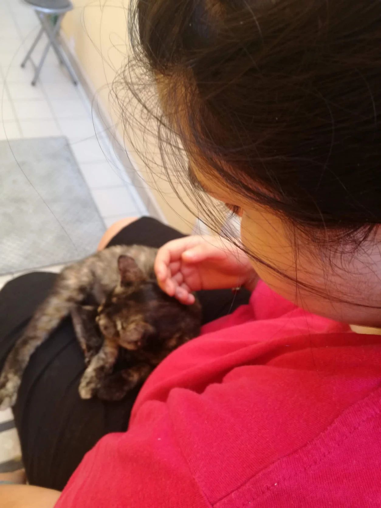 image-7