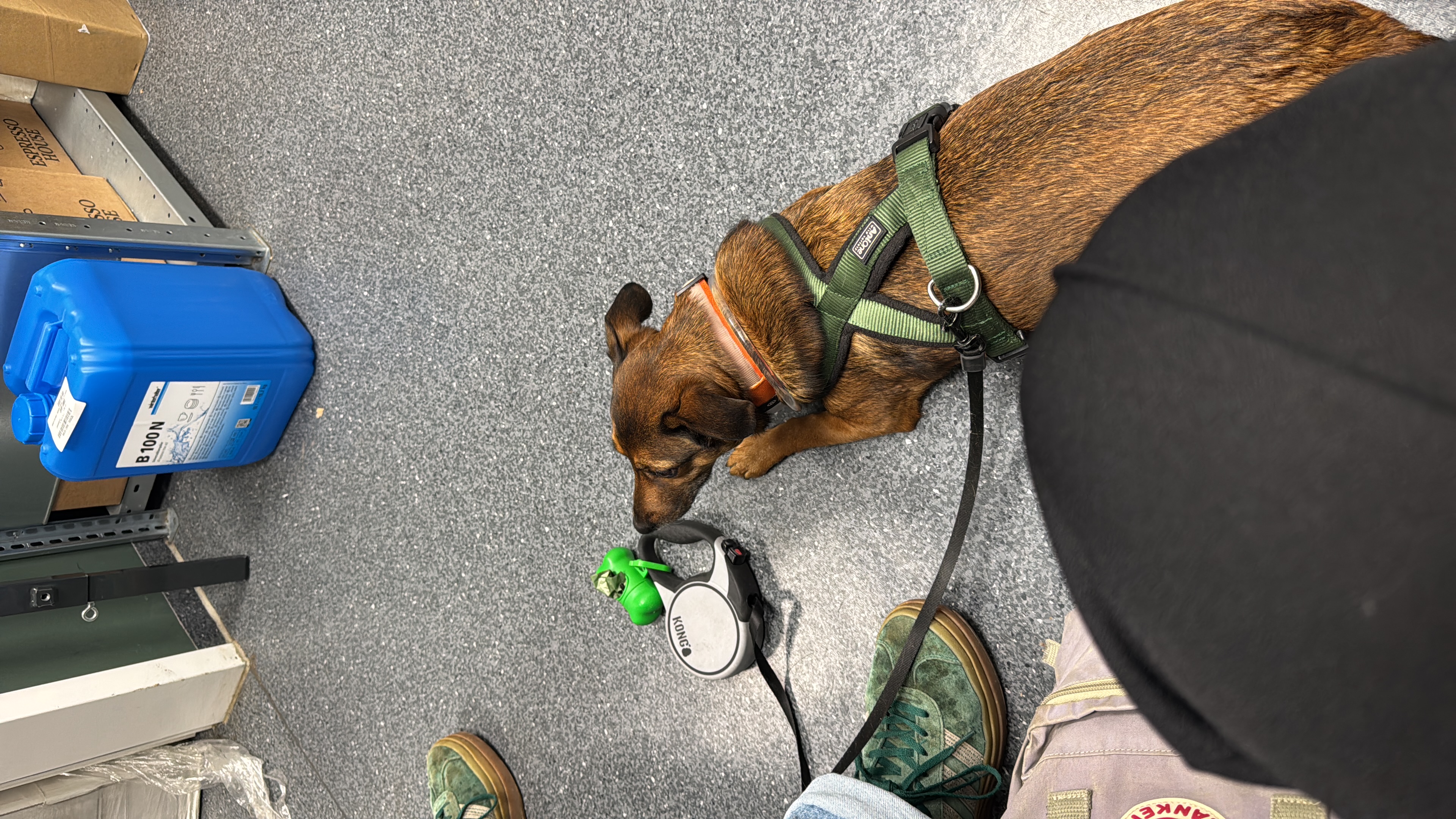 image-12