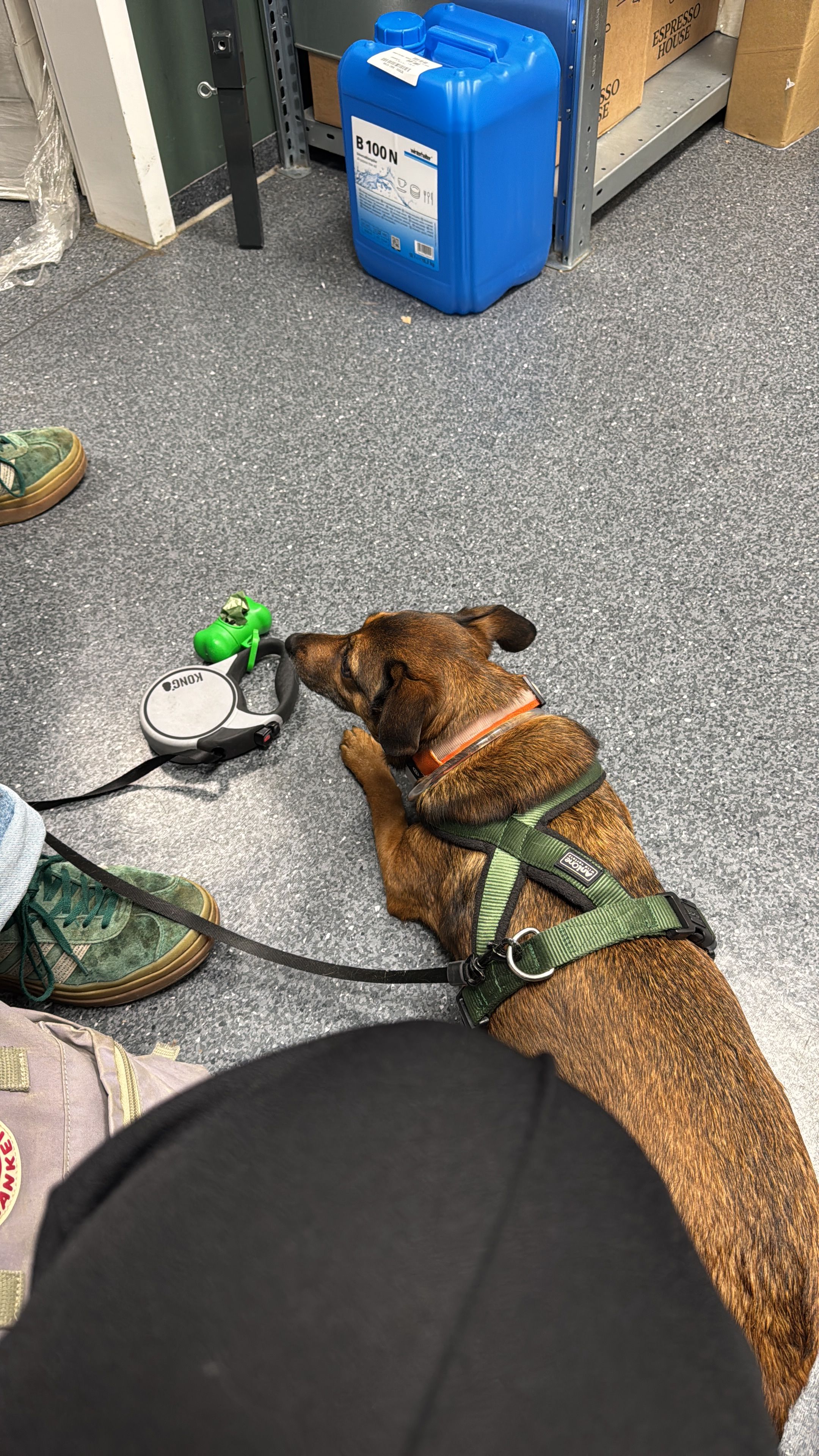 image-12
