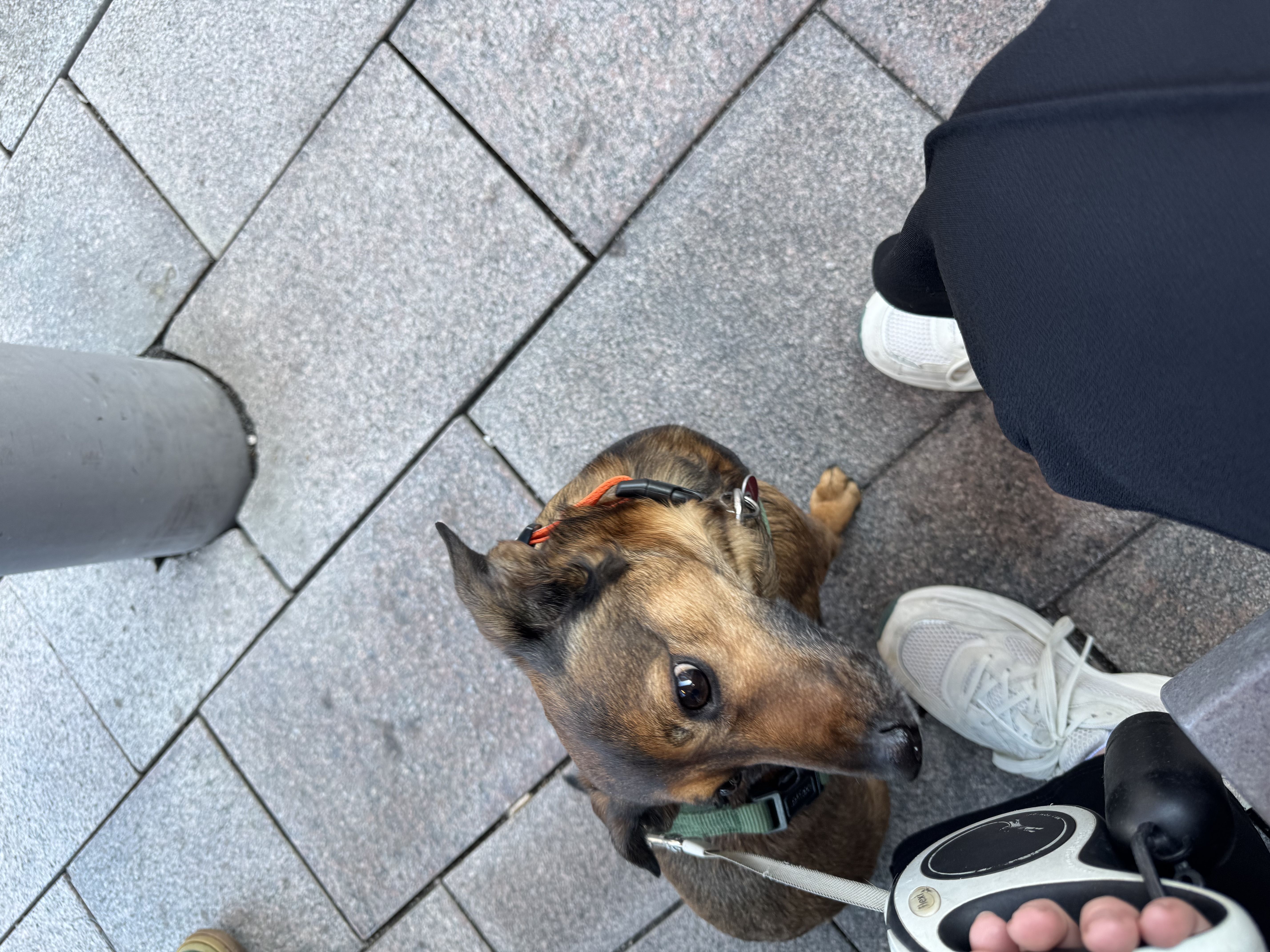 image-9