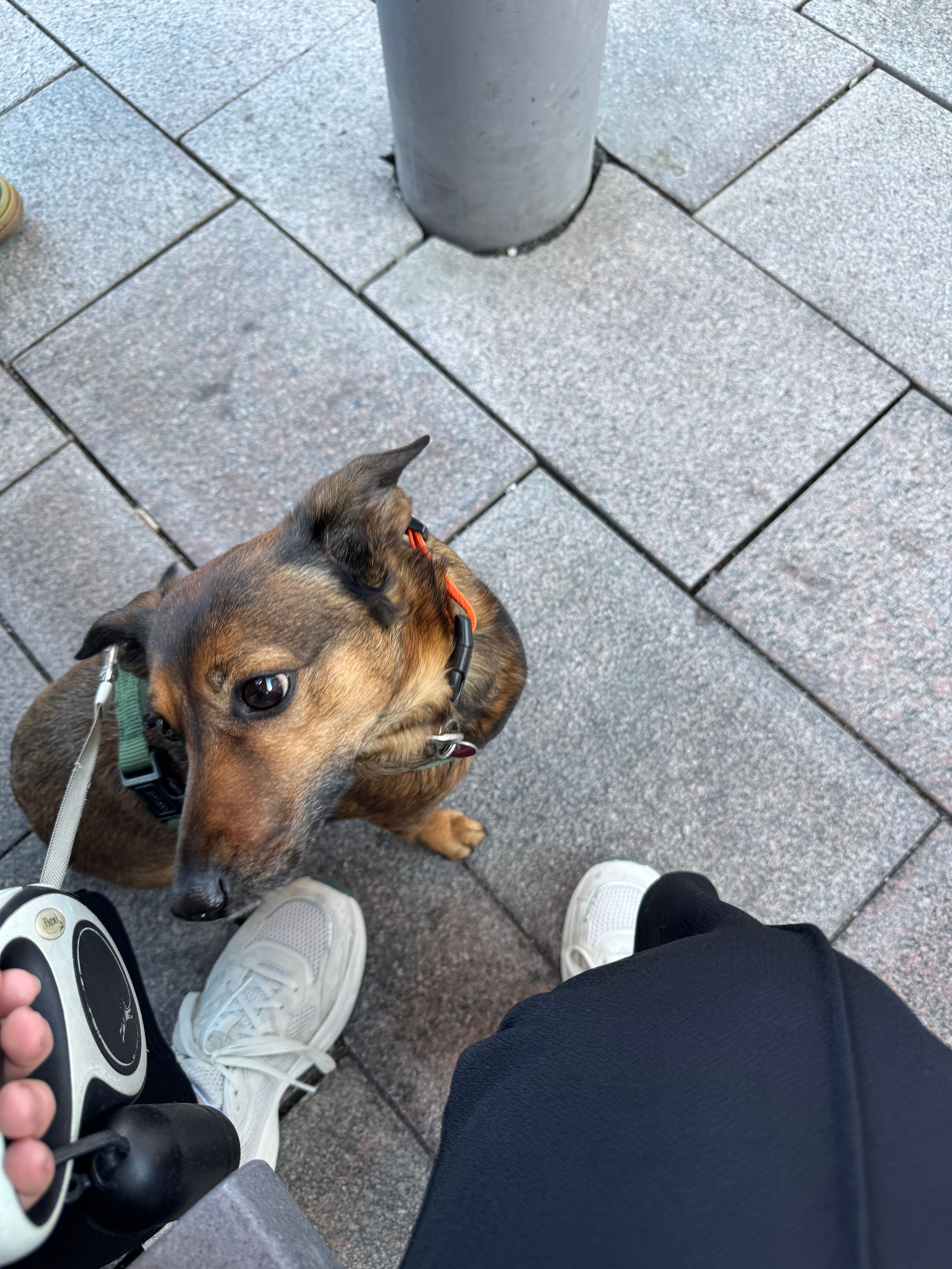 image-9