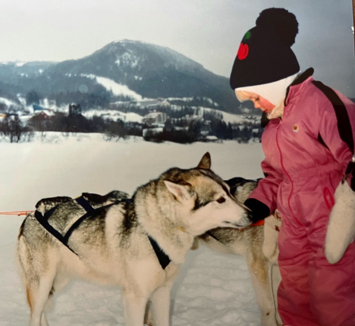 image-1