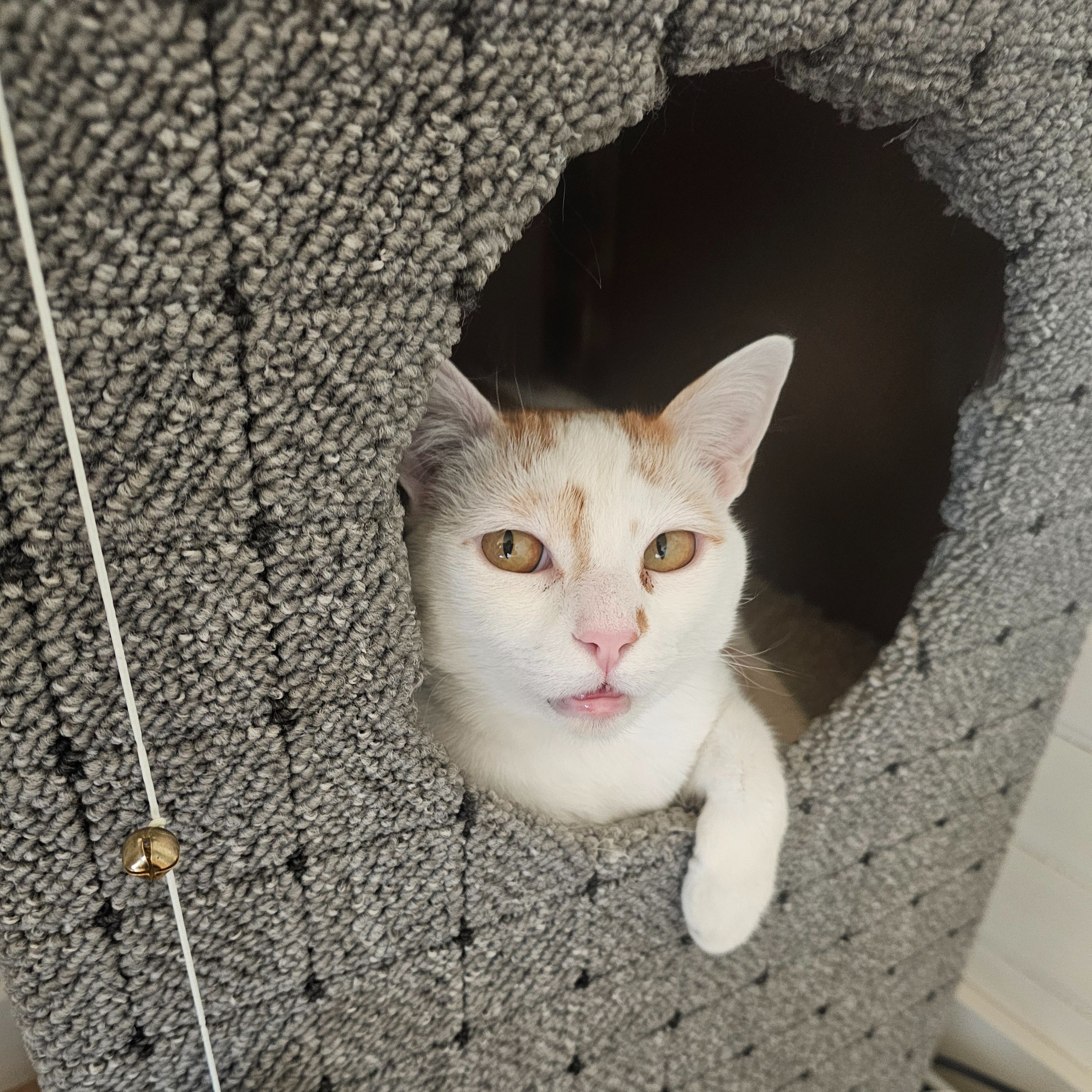 Mia