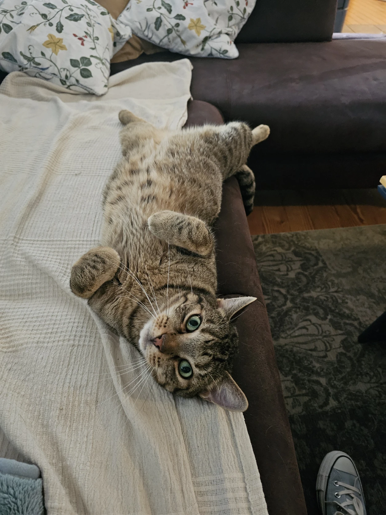 image-11
