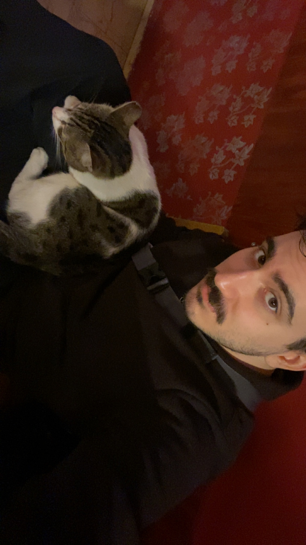 image-6