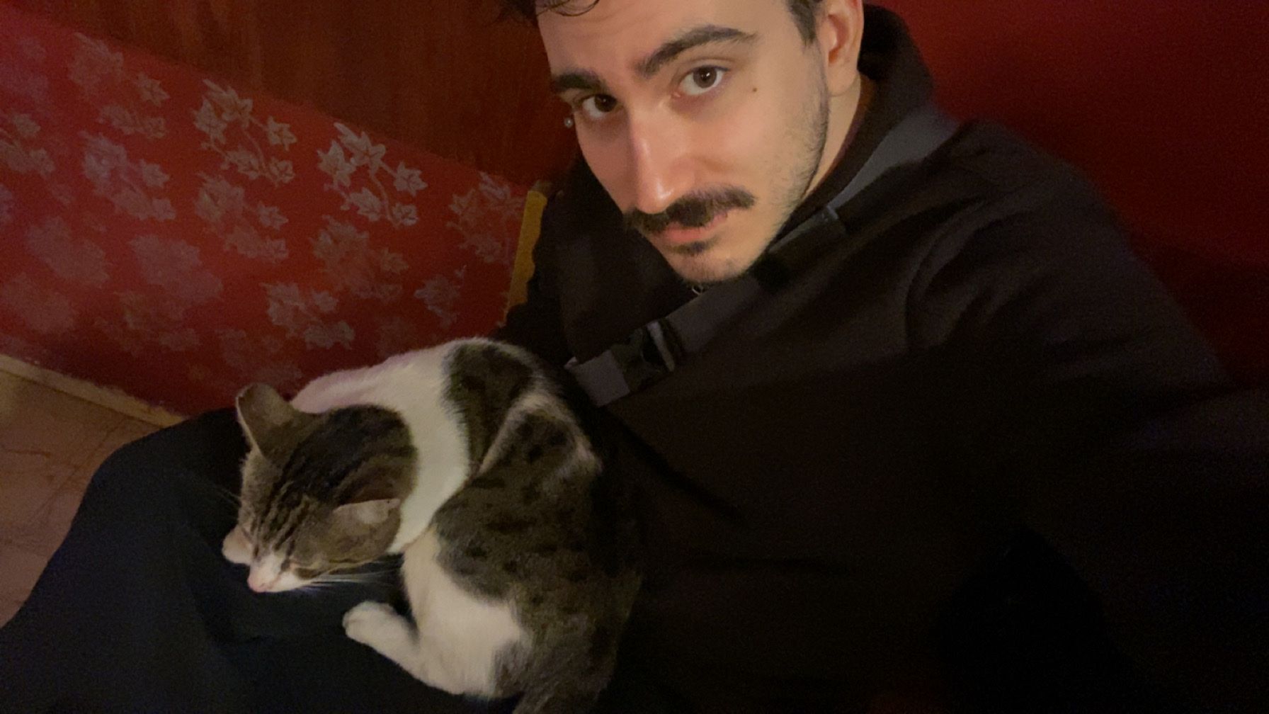 image-6