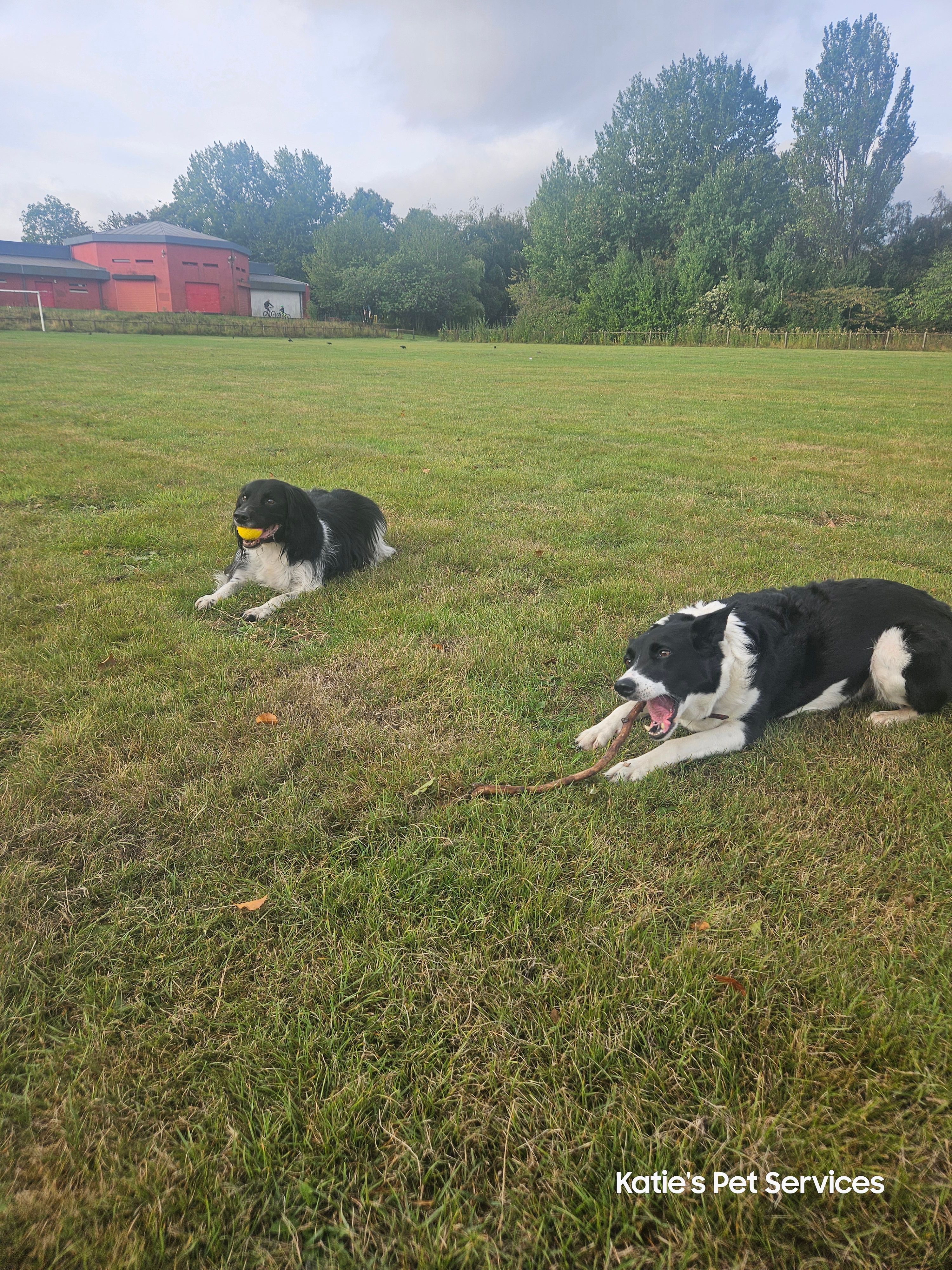image-12