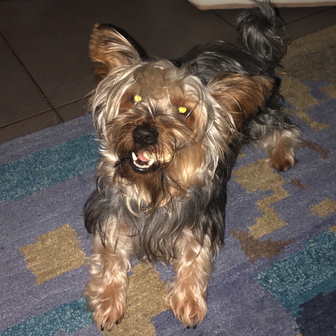 Oscar