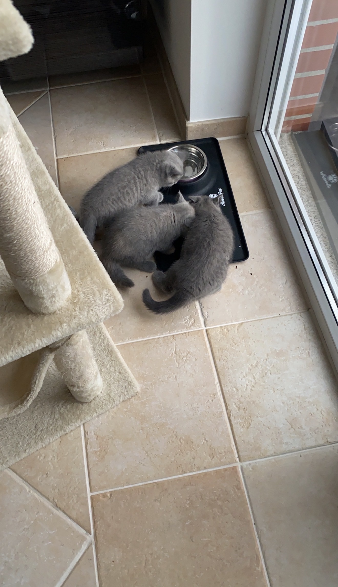 image-11