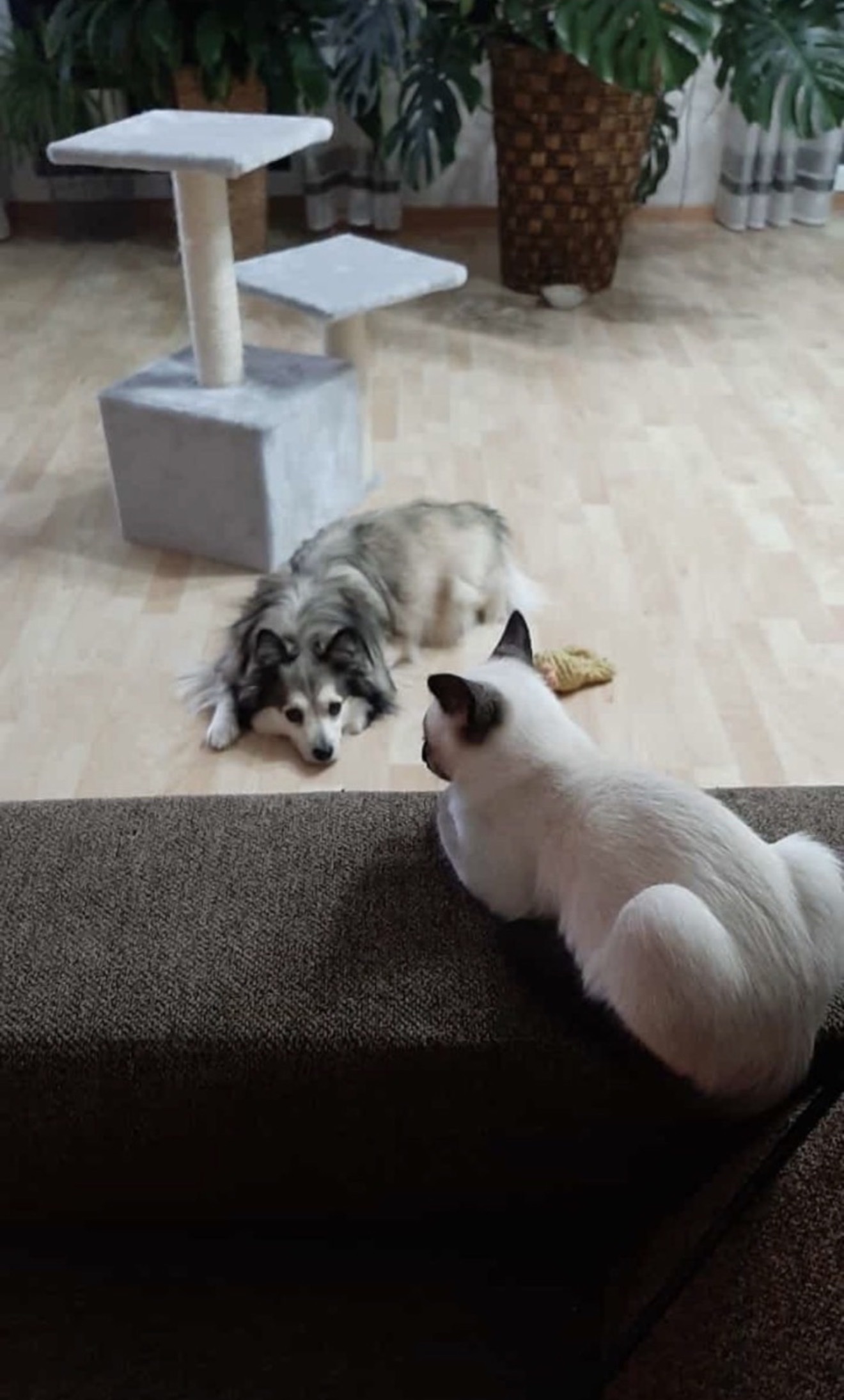 image-15