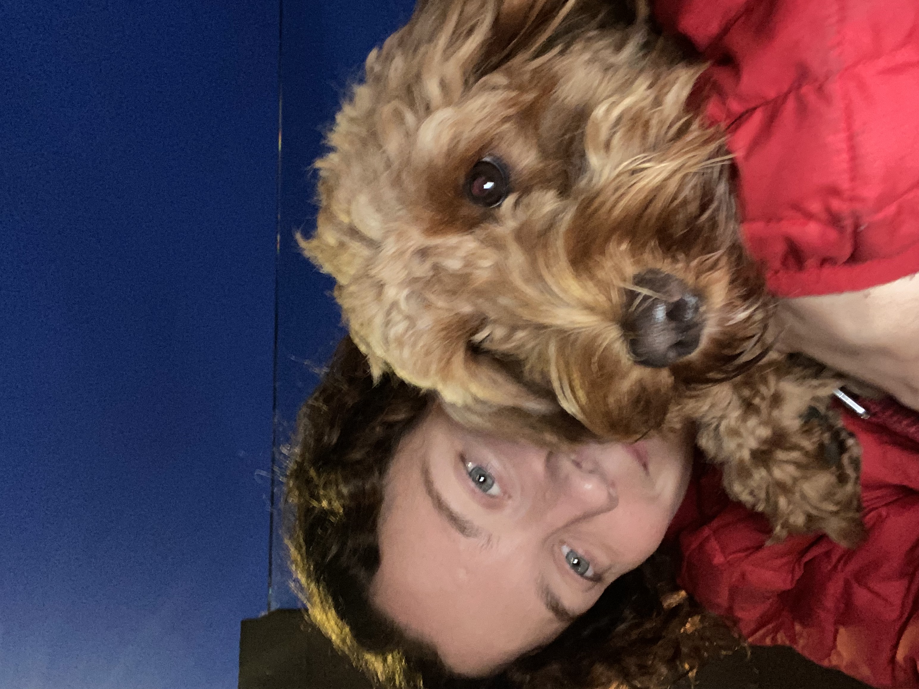 image-8