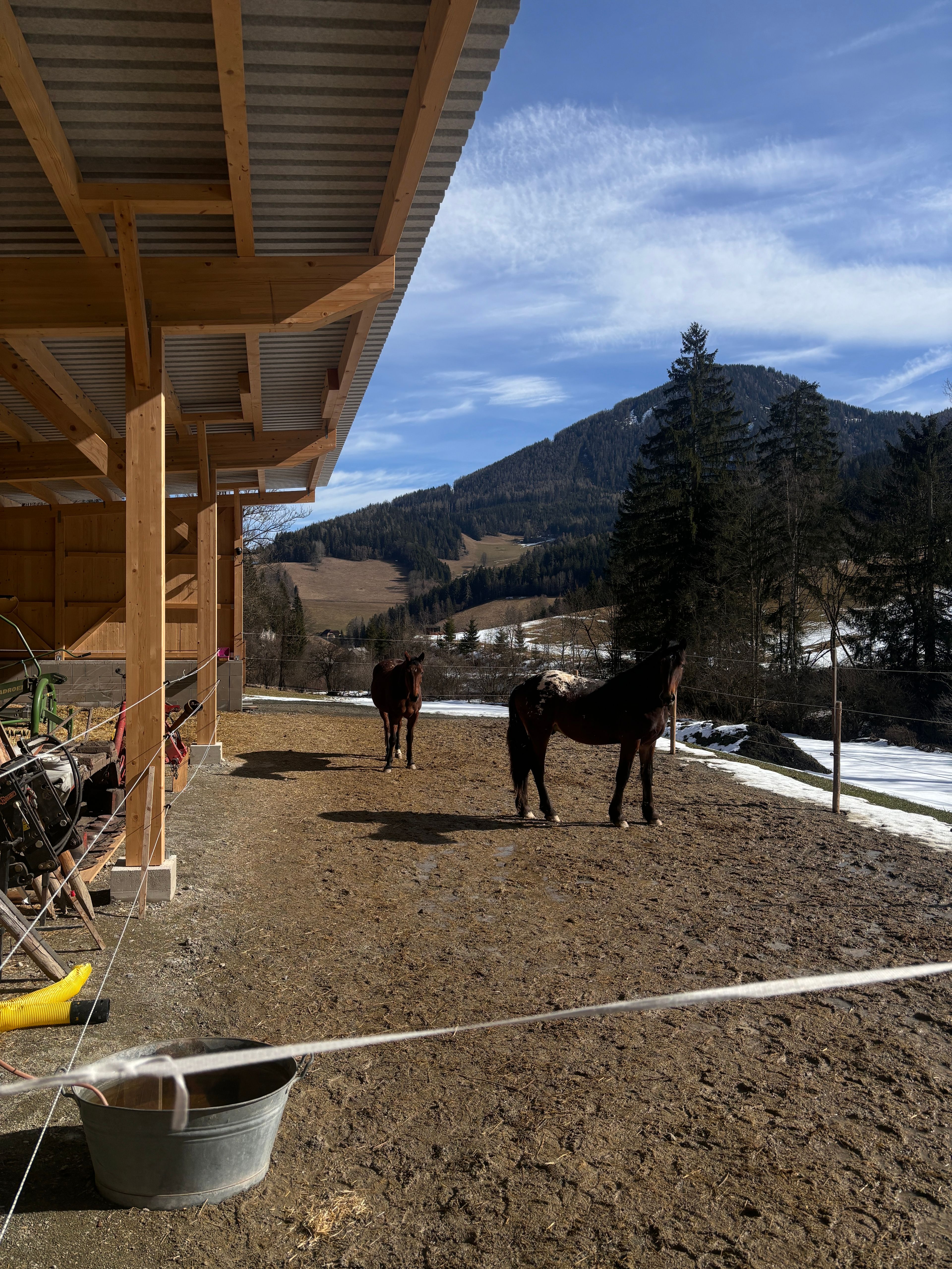 image-14