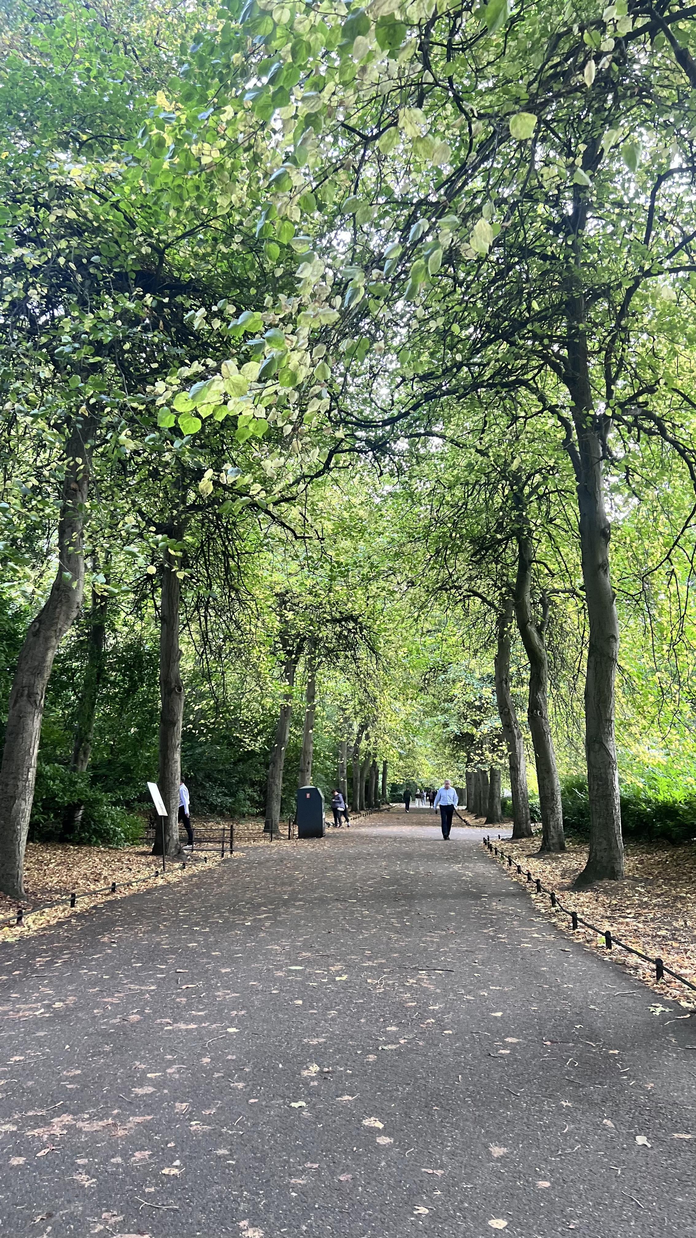 image-20