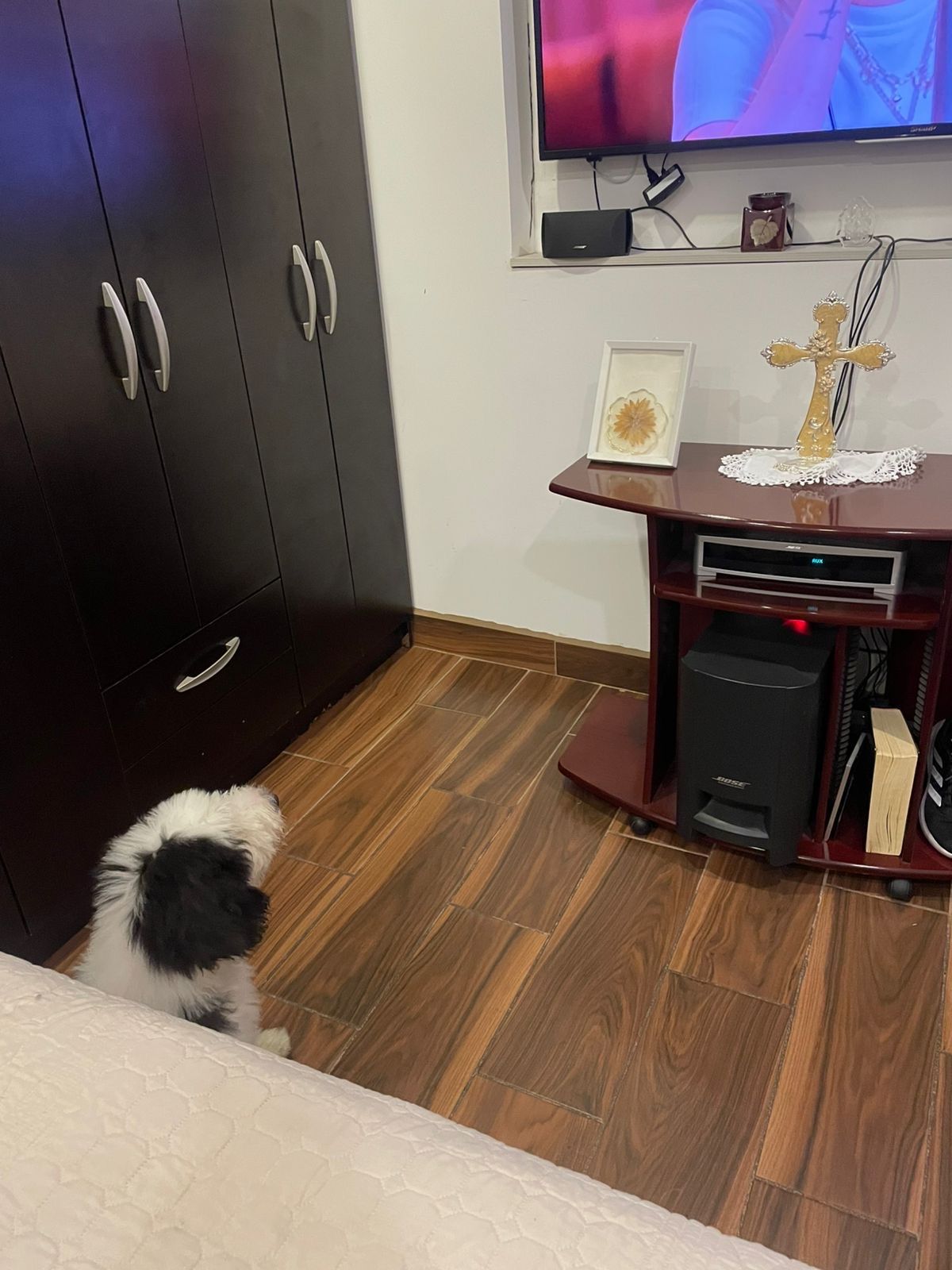 image-18