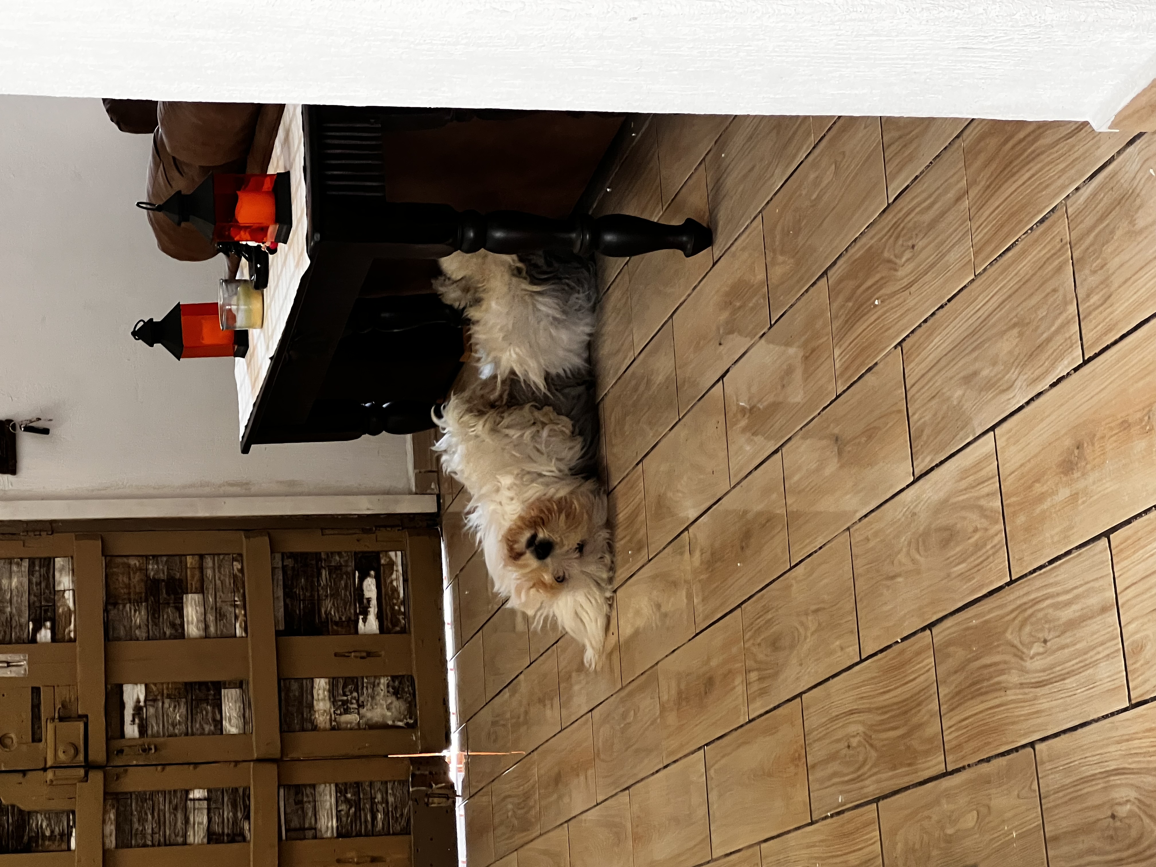 image-19