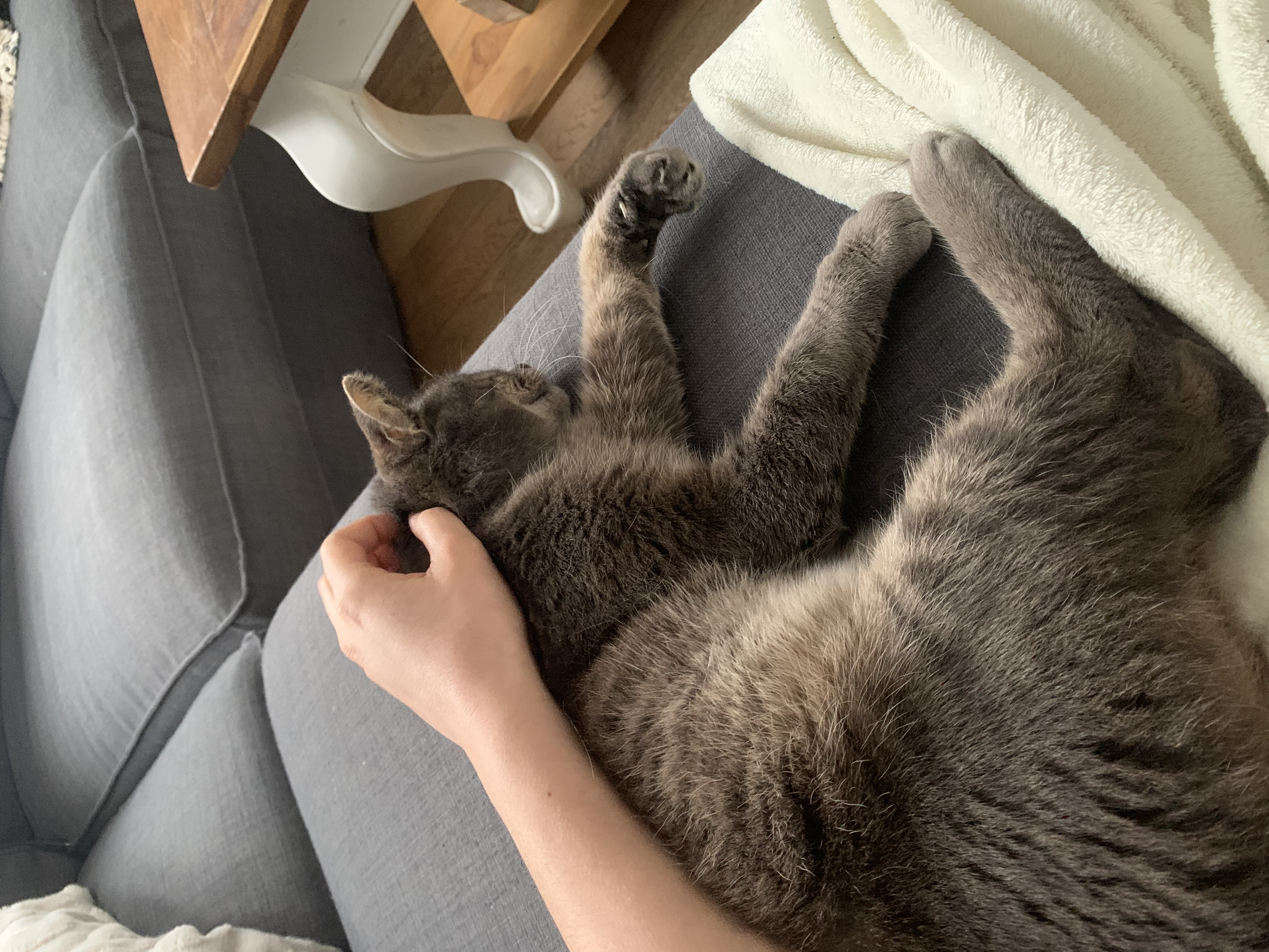 image-11