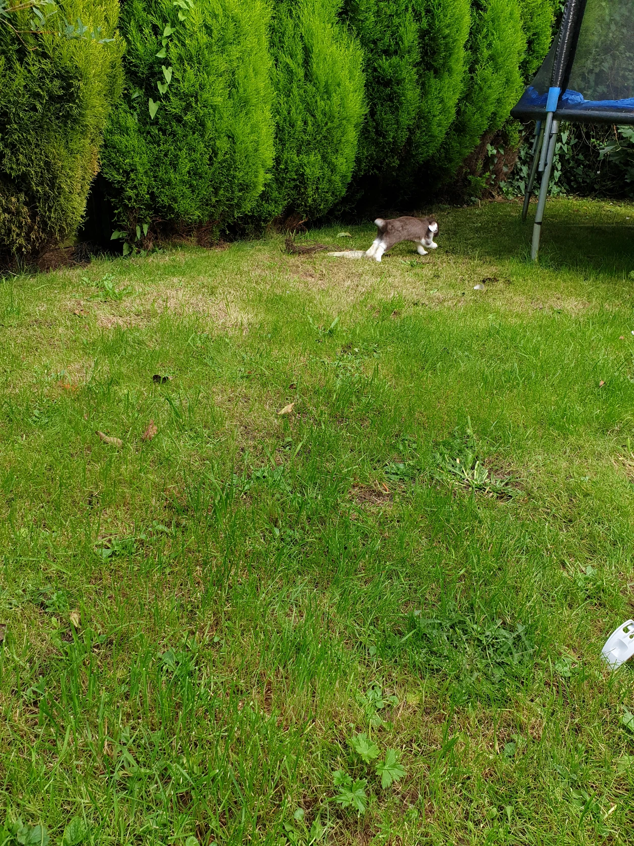 image-19