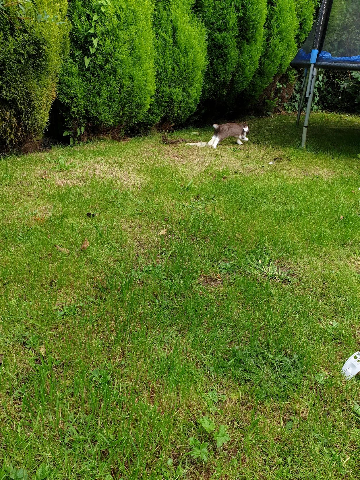 image-19