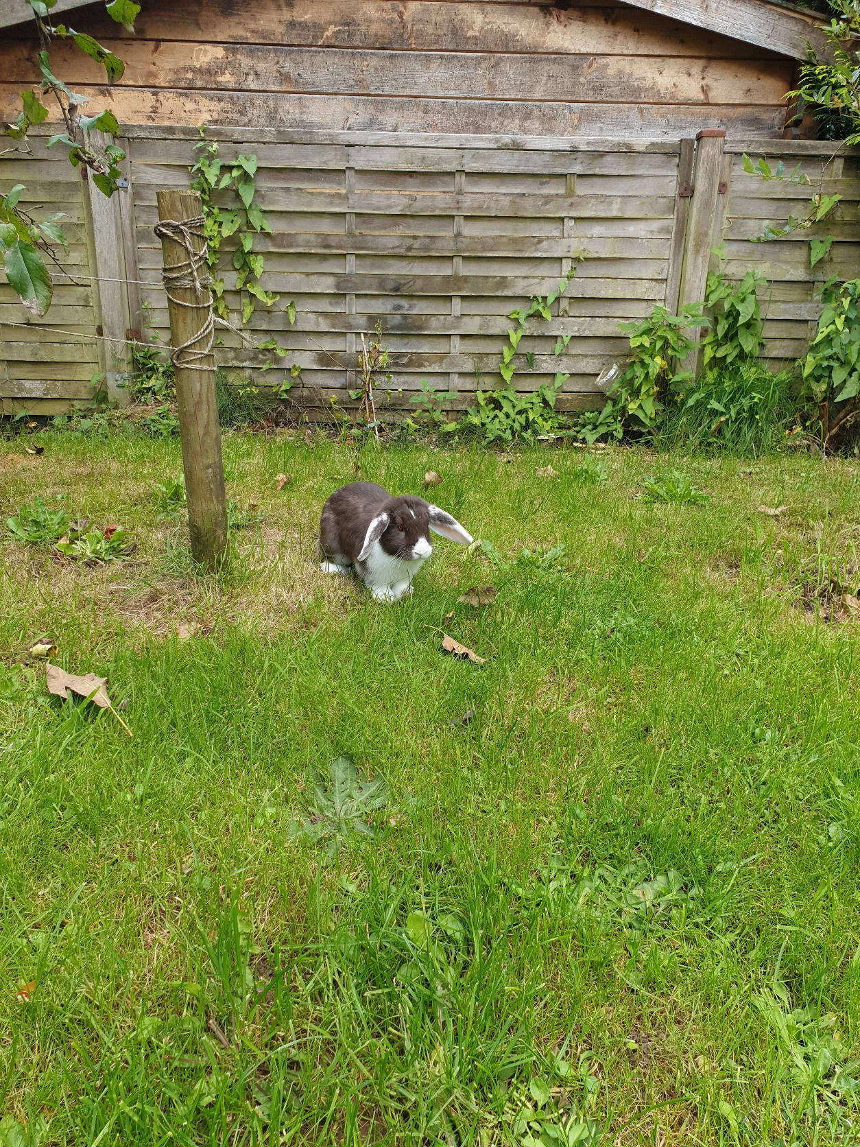 image-20
