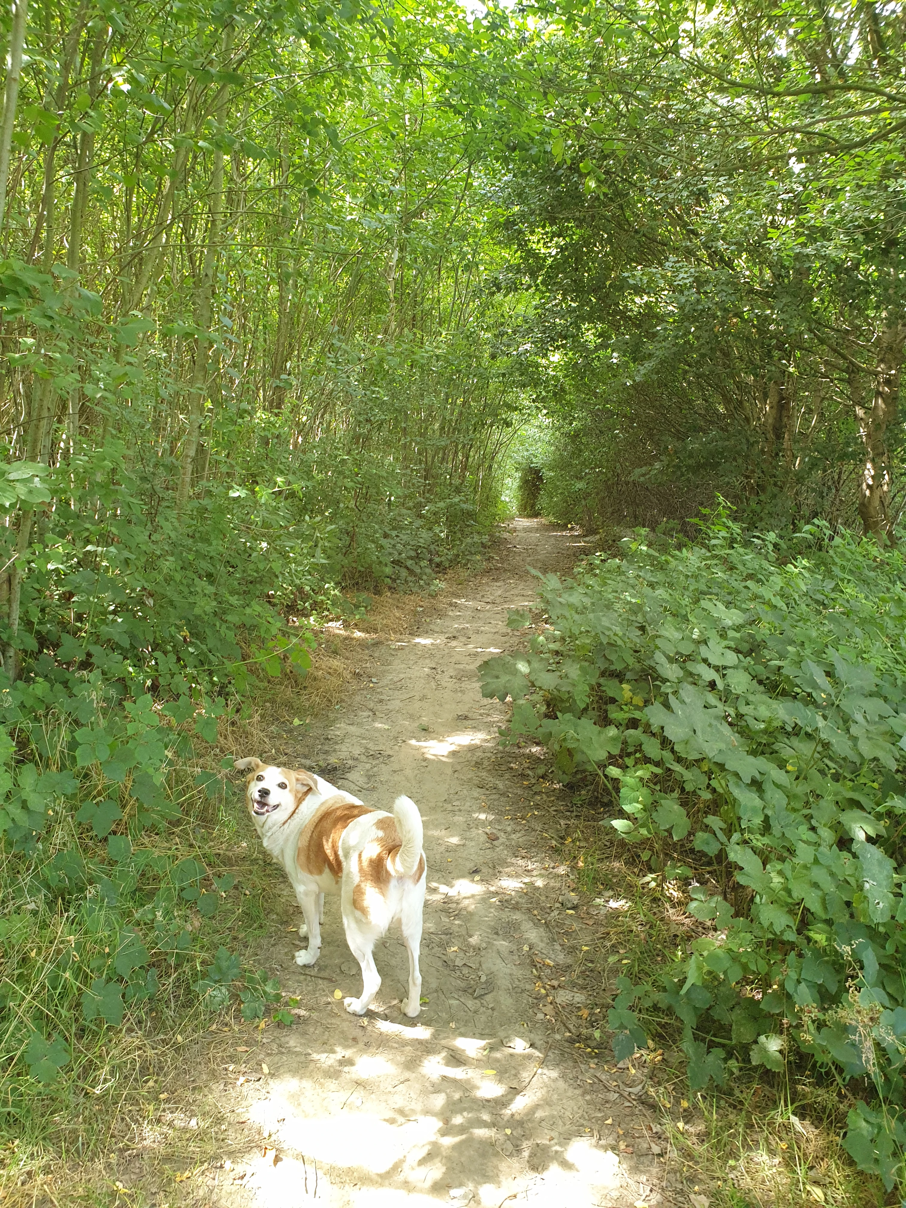 image-5
