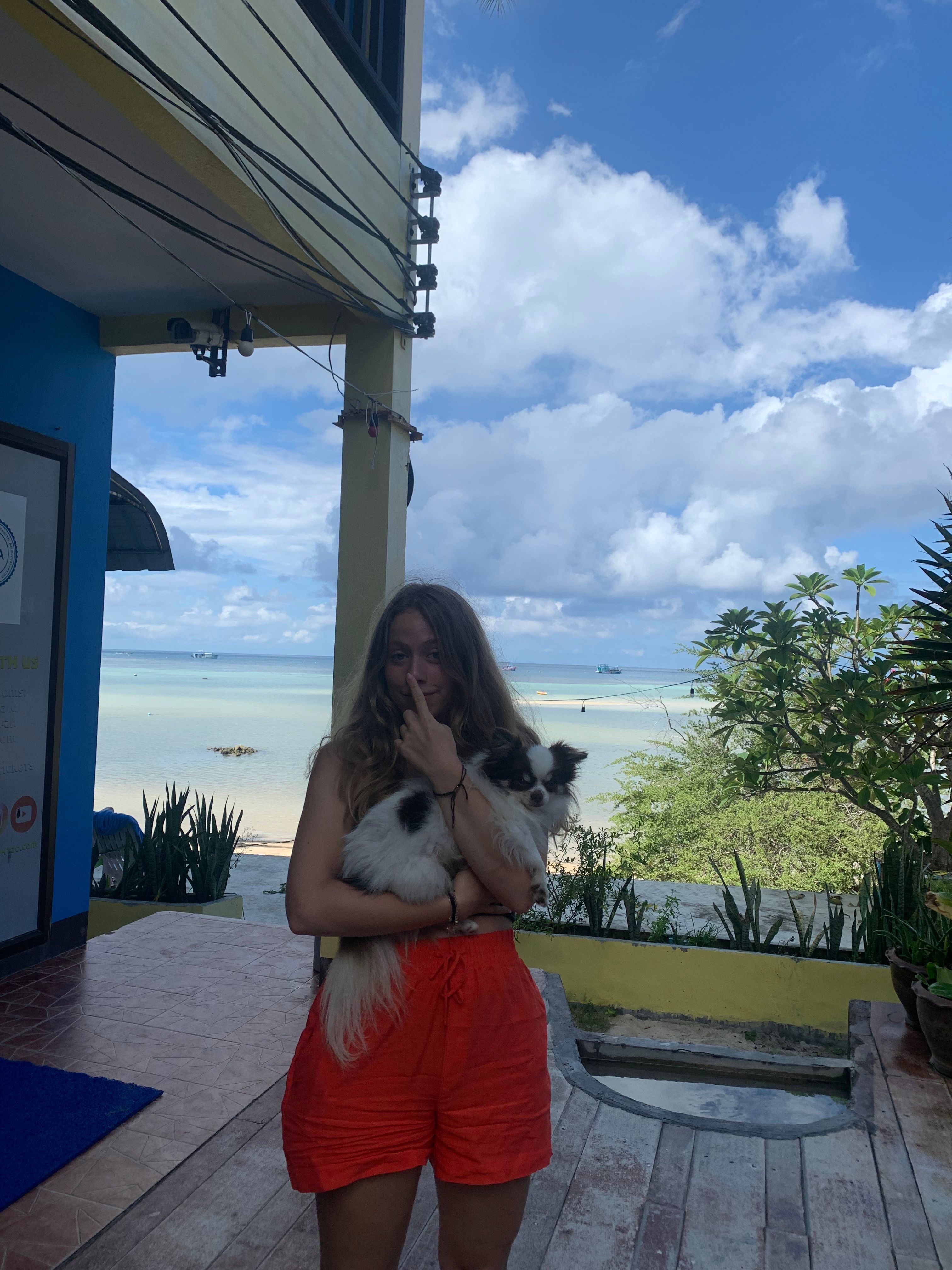 image-12