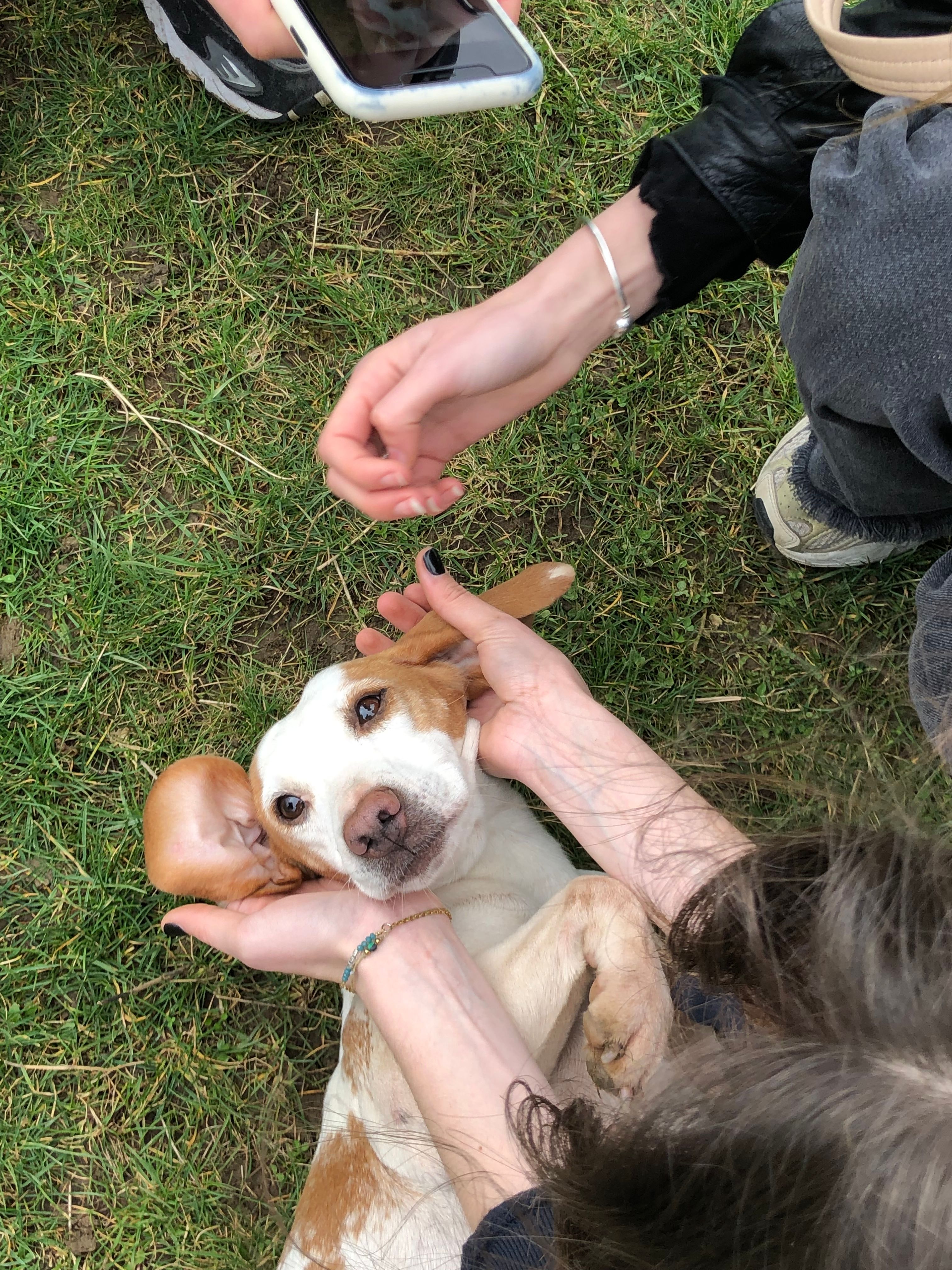 image-4