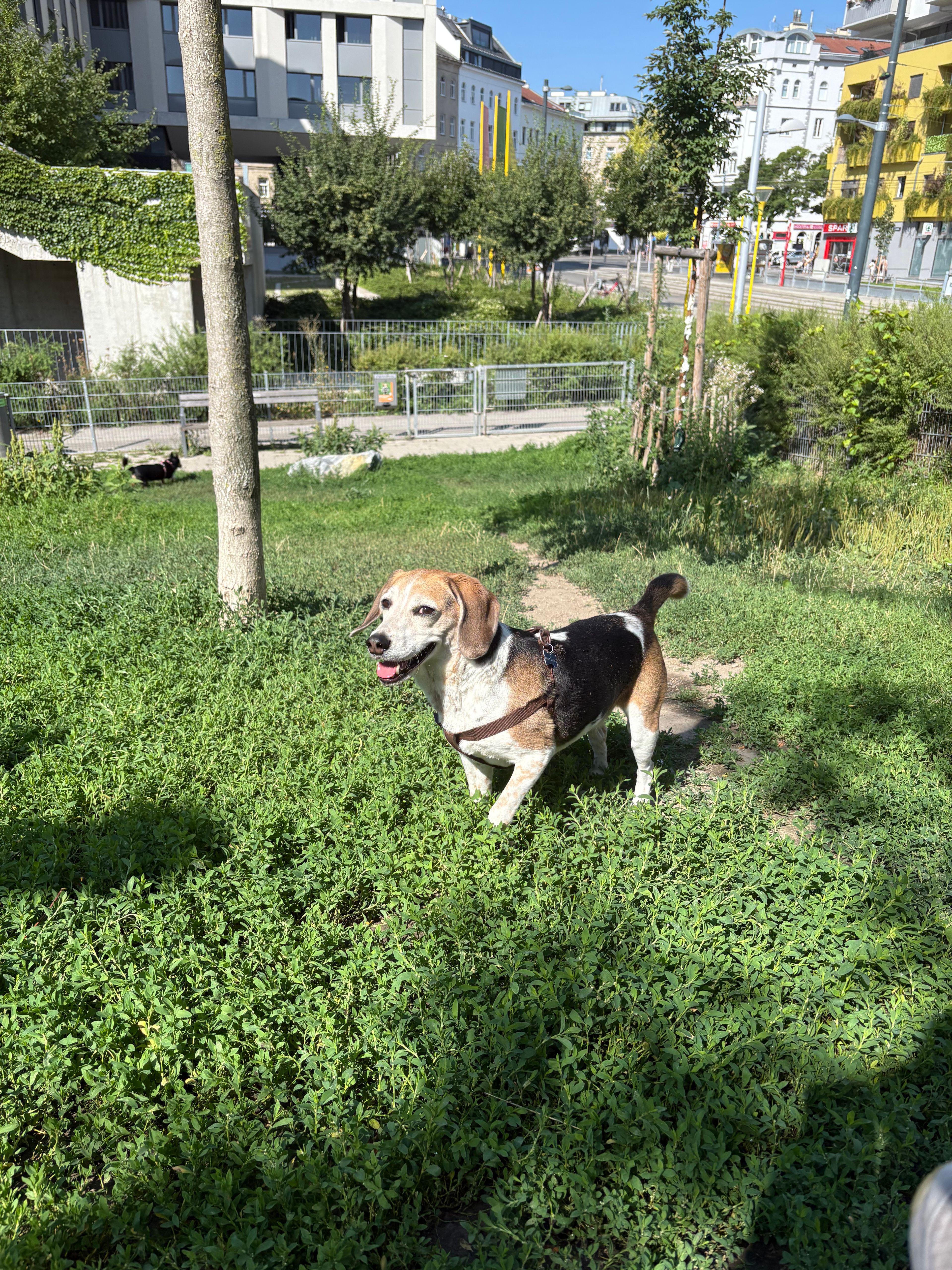 image-28