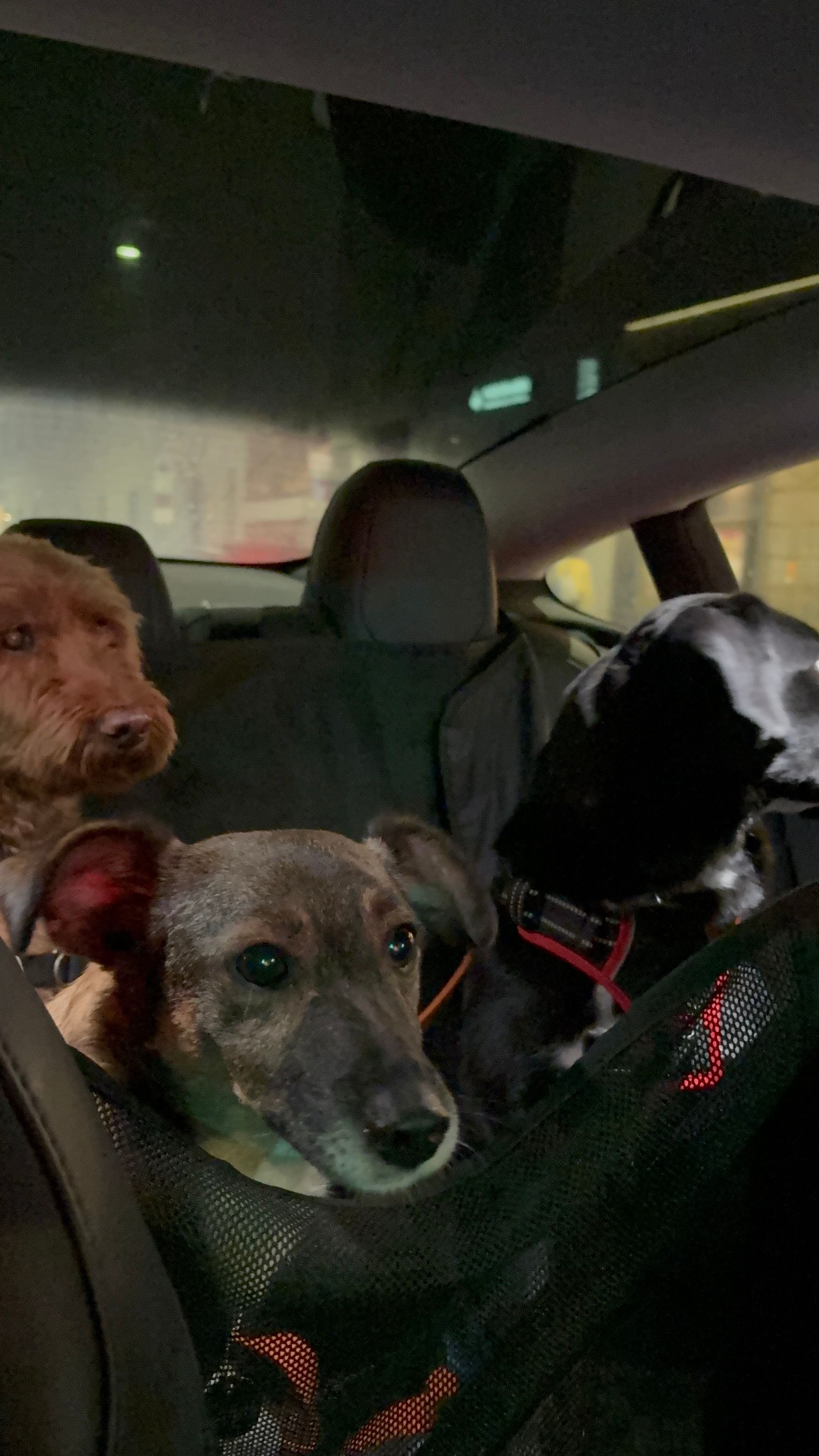image-45
