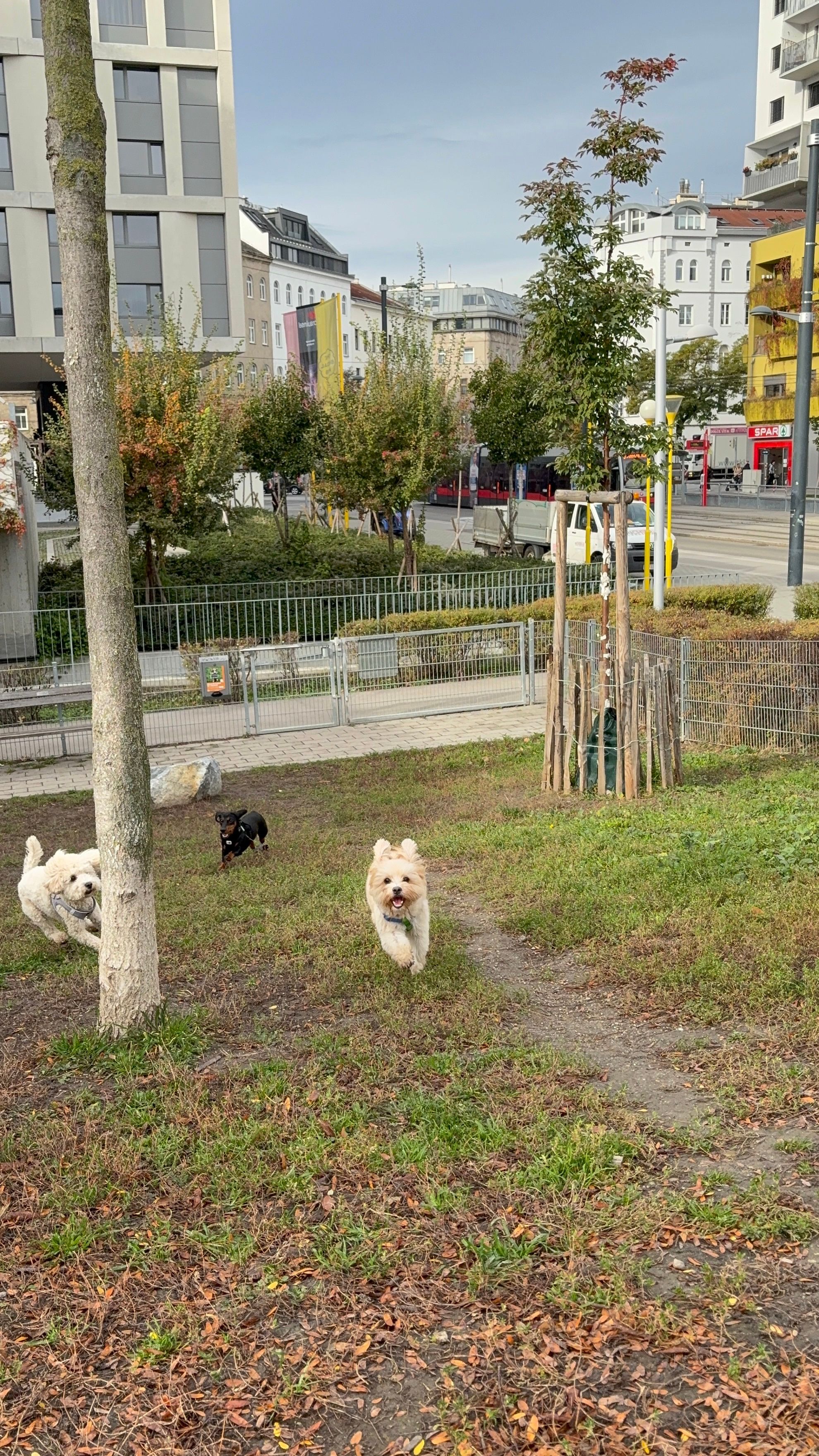 image-50