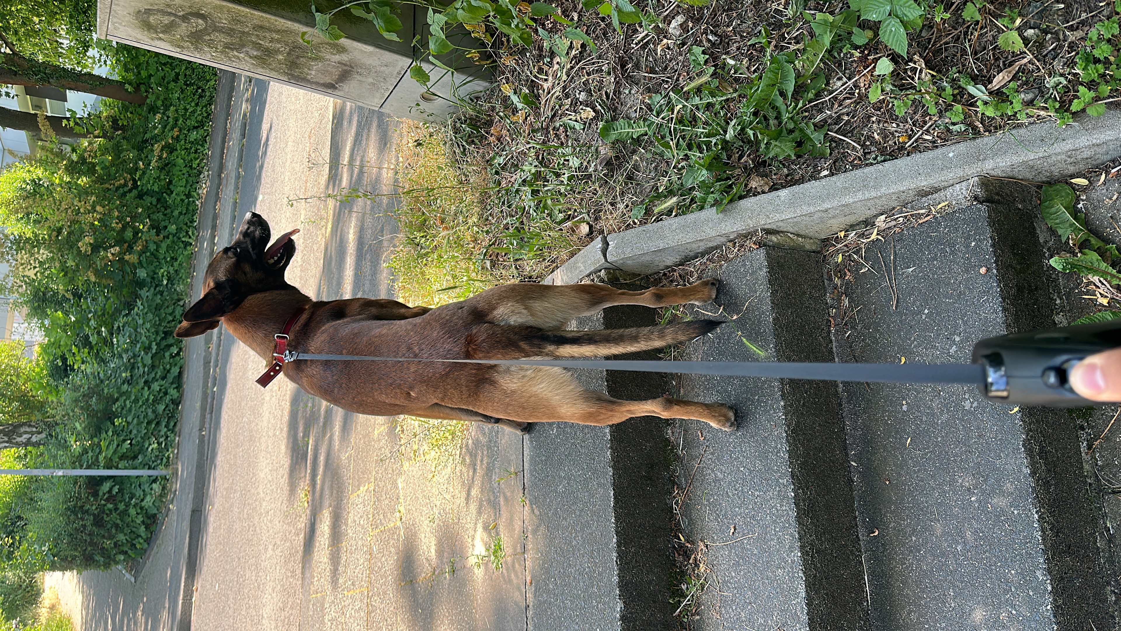 image-7