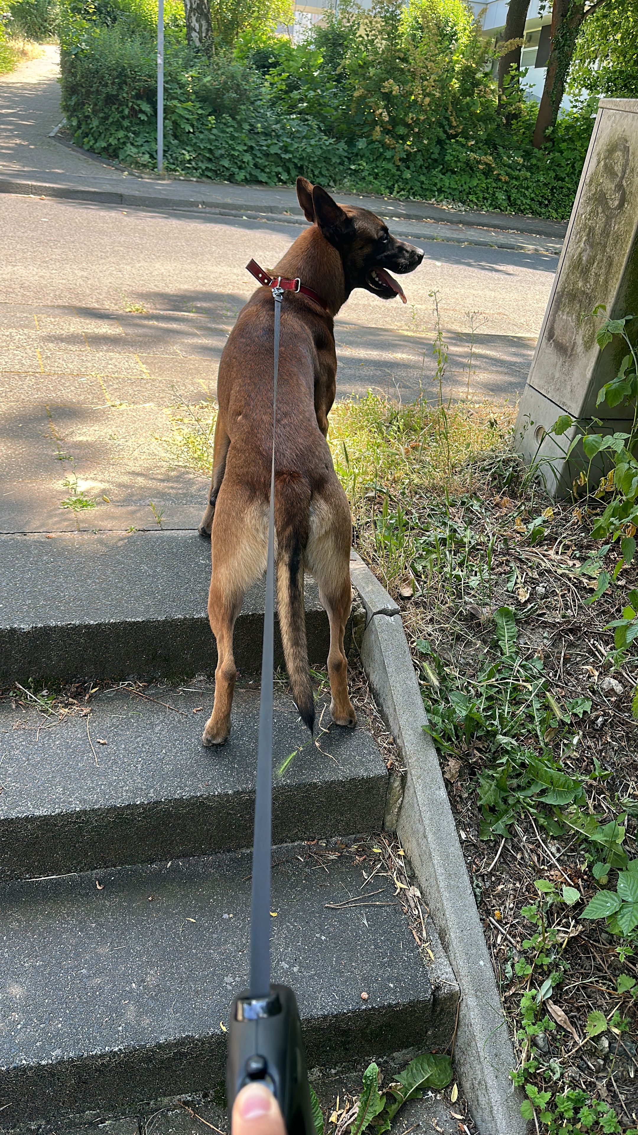 image-7