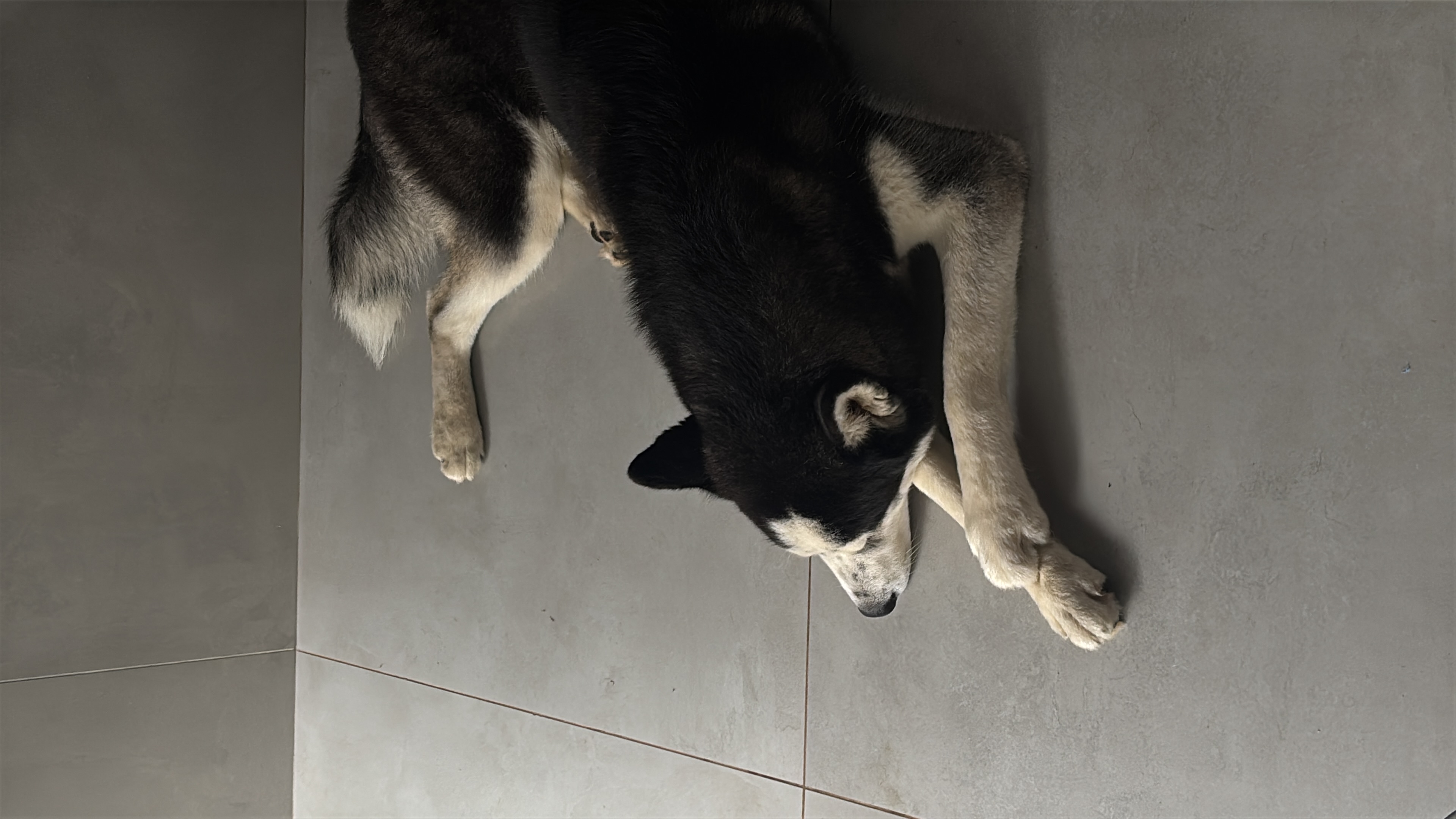 image-20