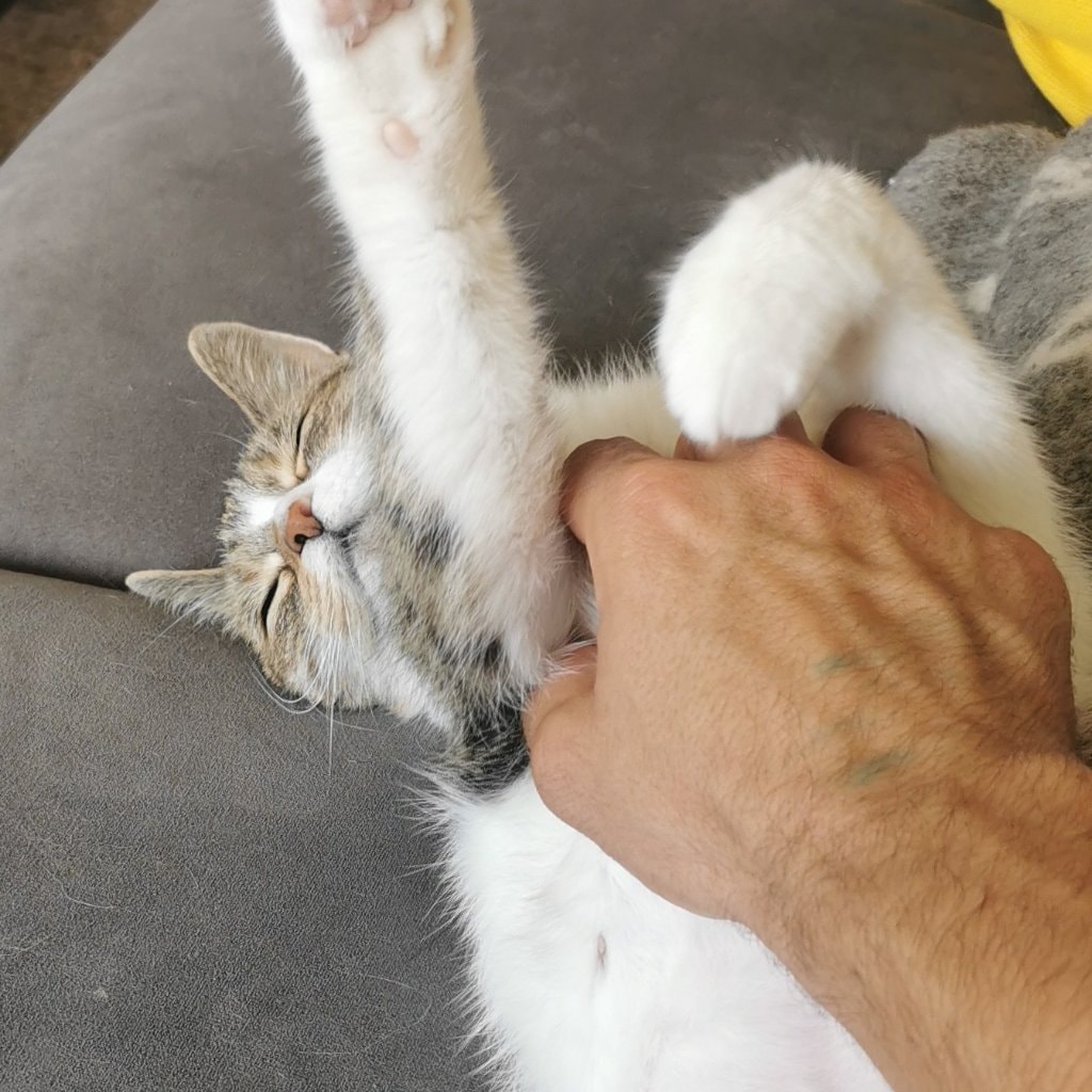 La Mama