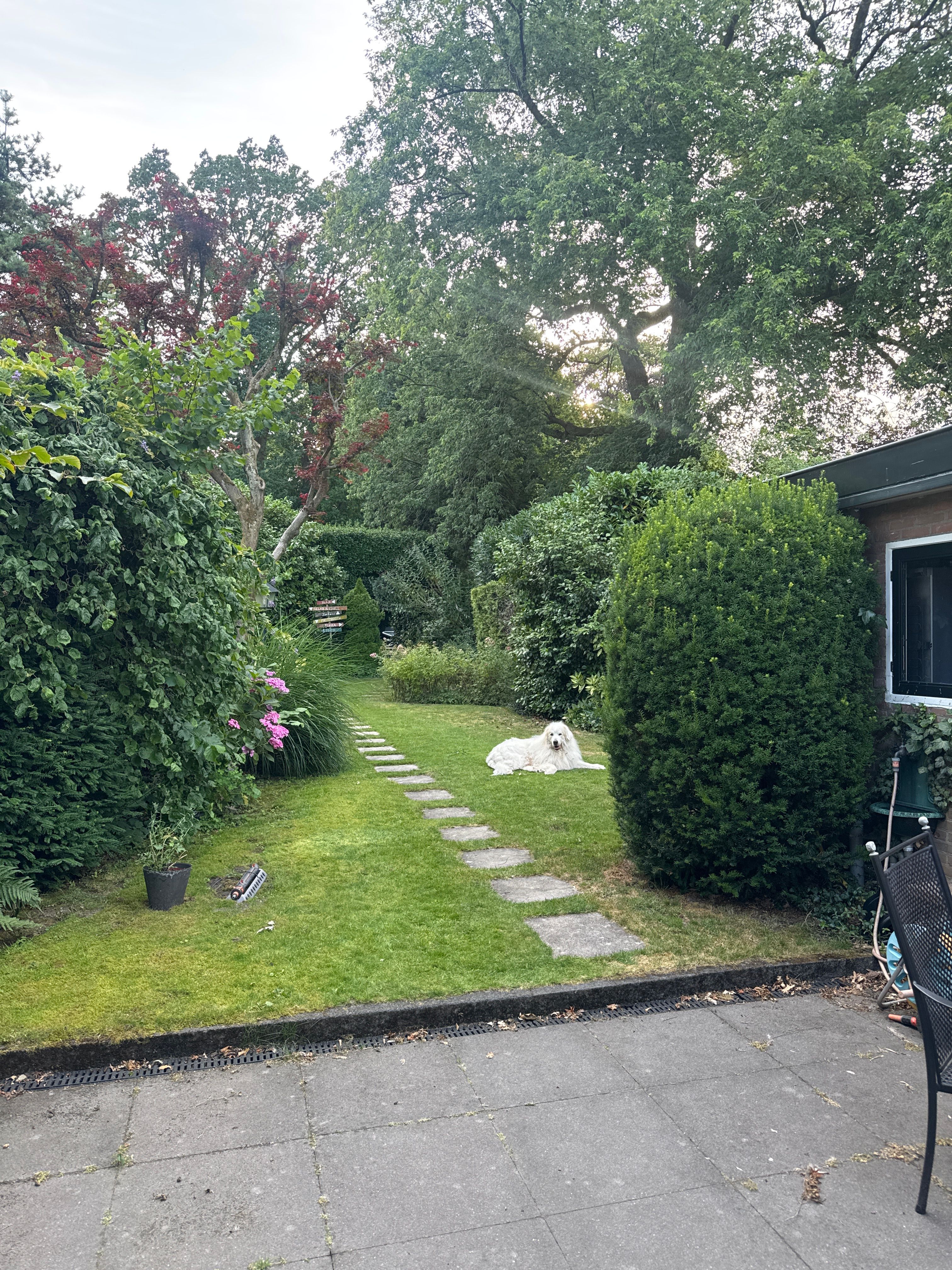 image-12