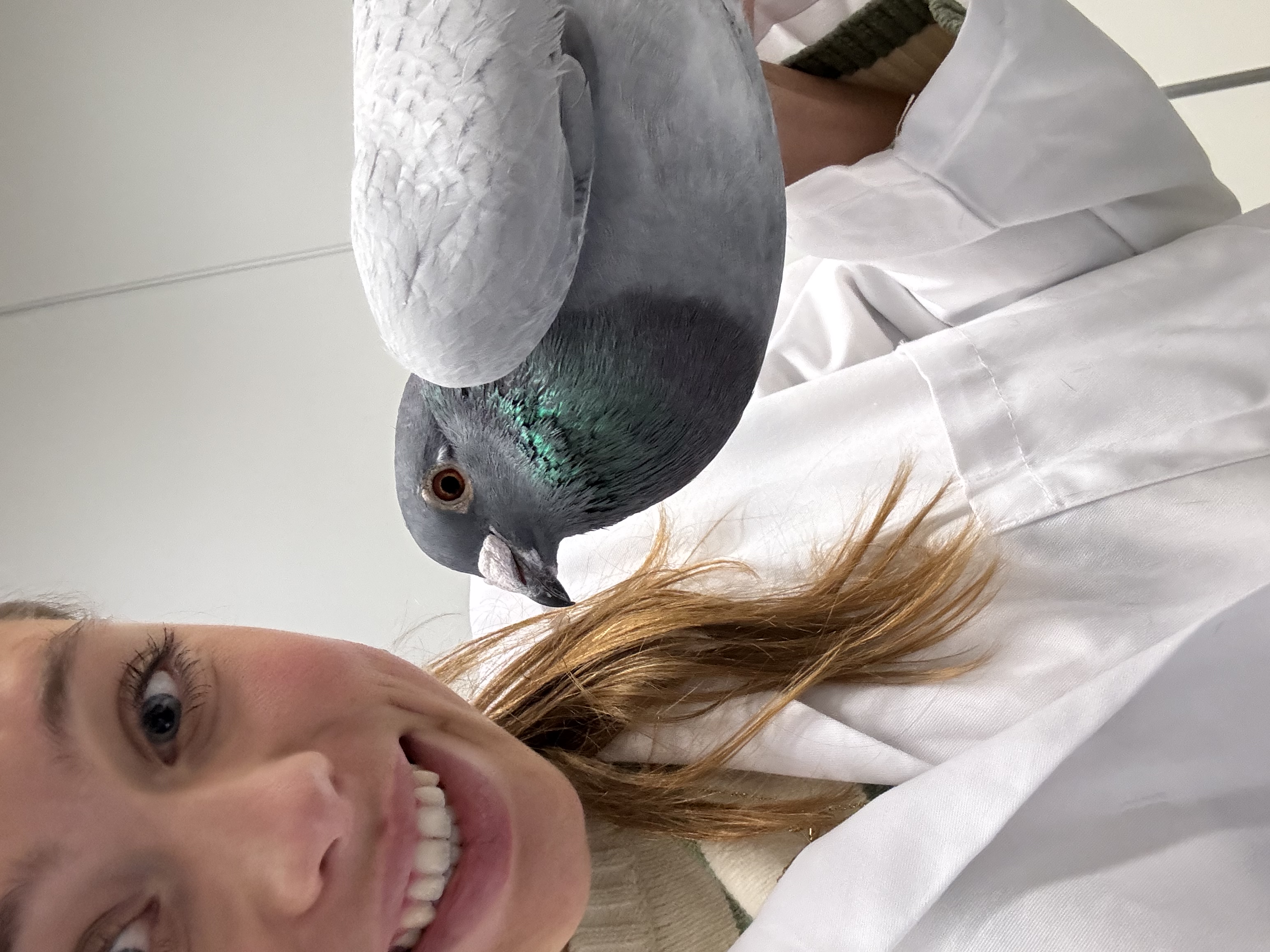 image-6