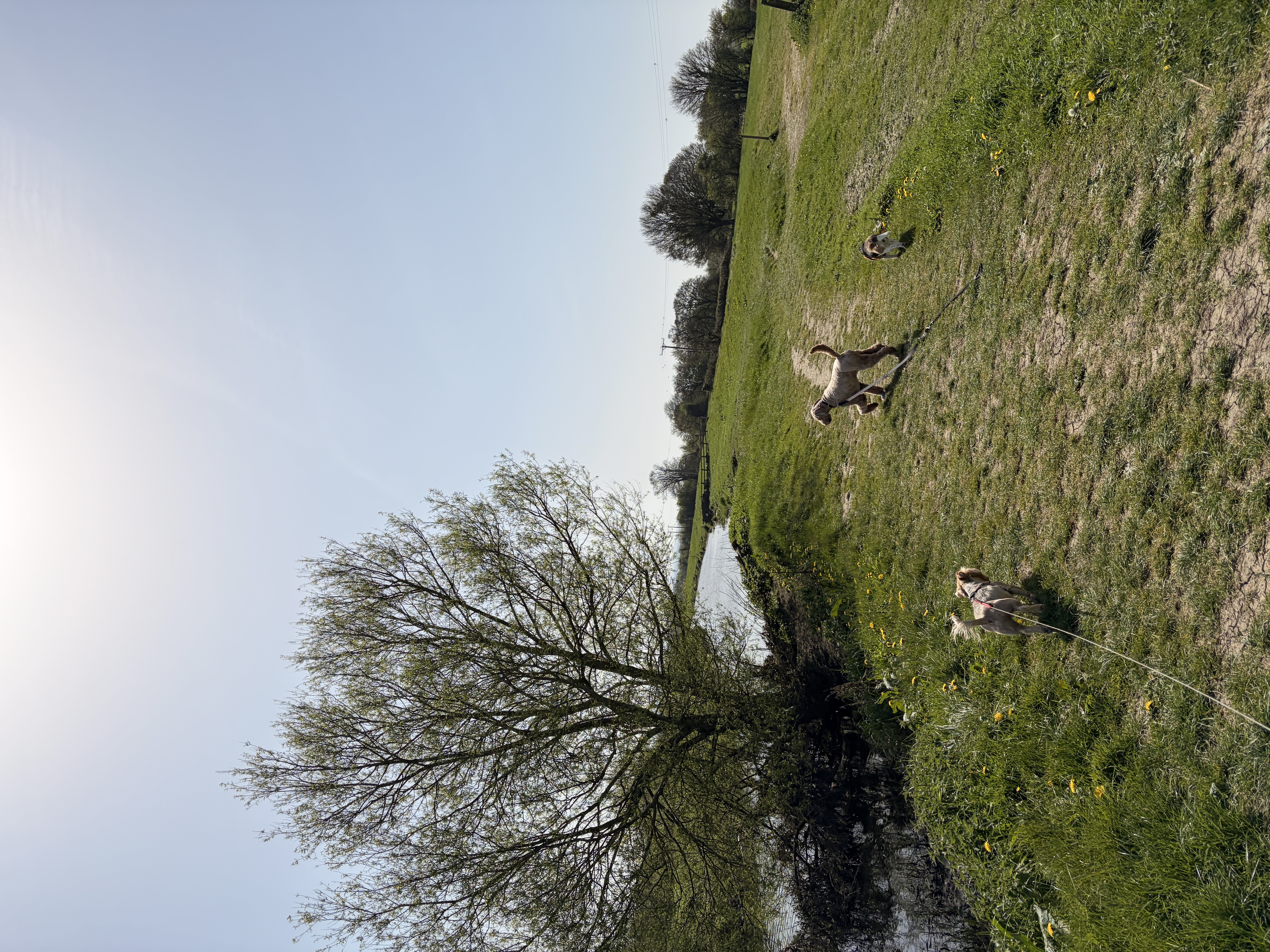 image-19