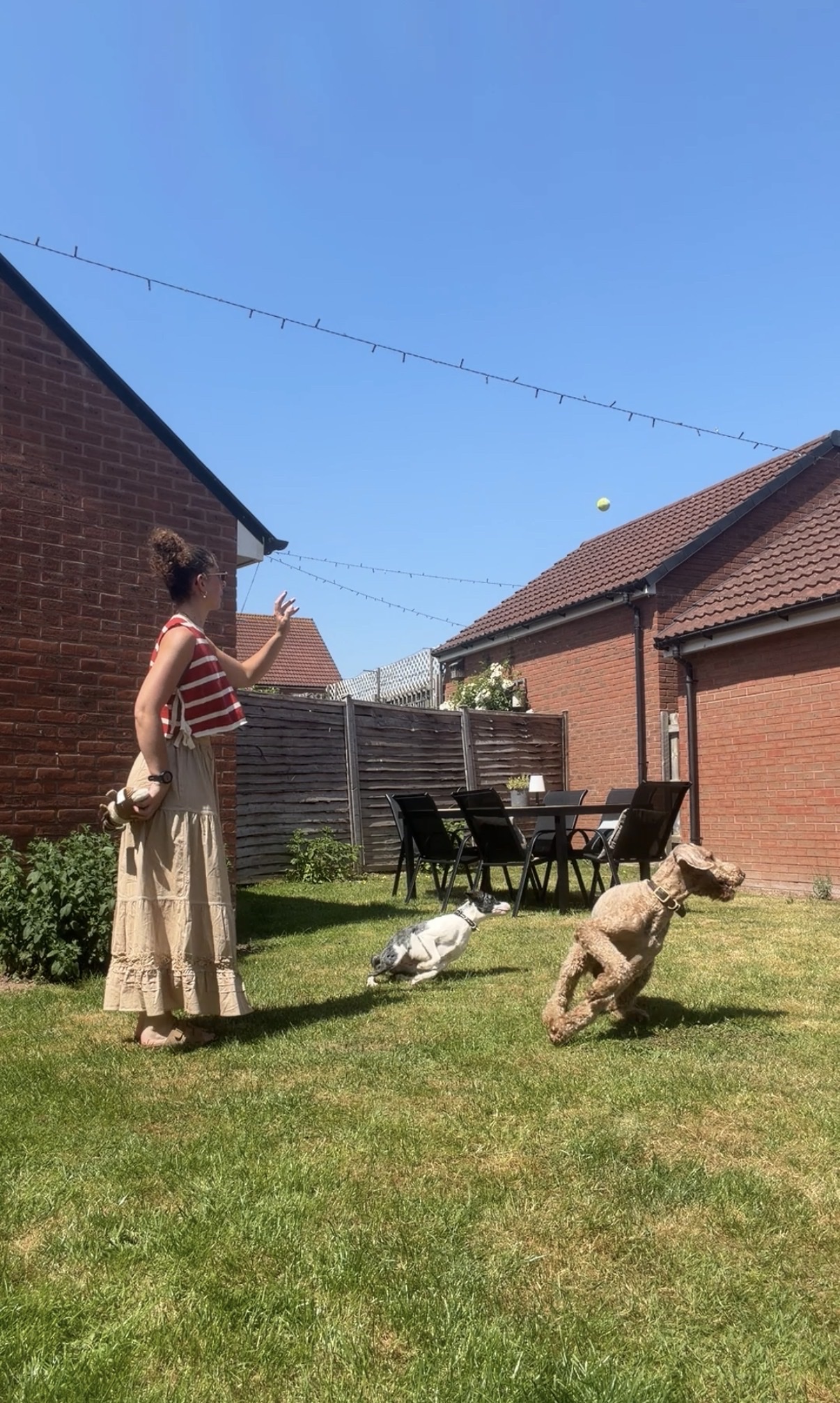 image-43