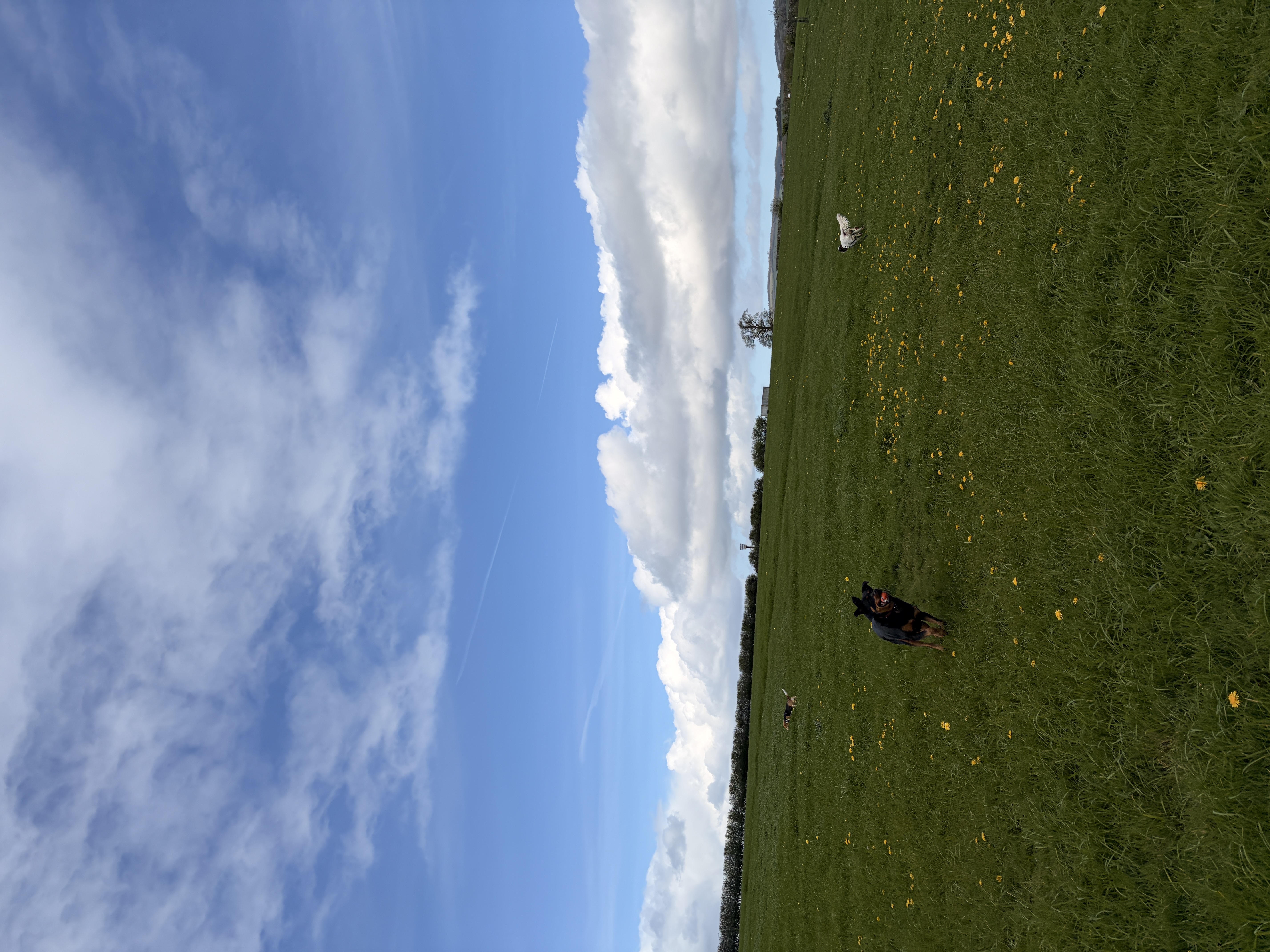 image-22