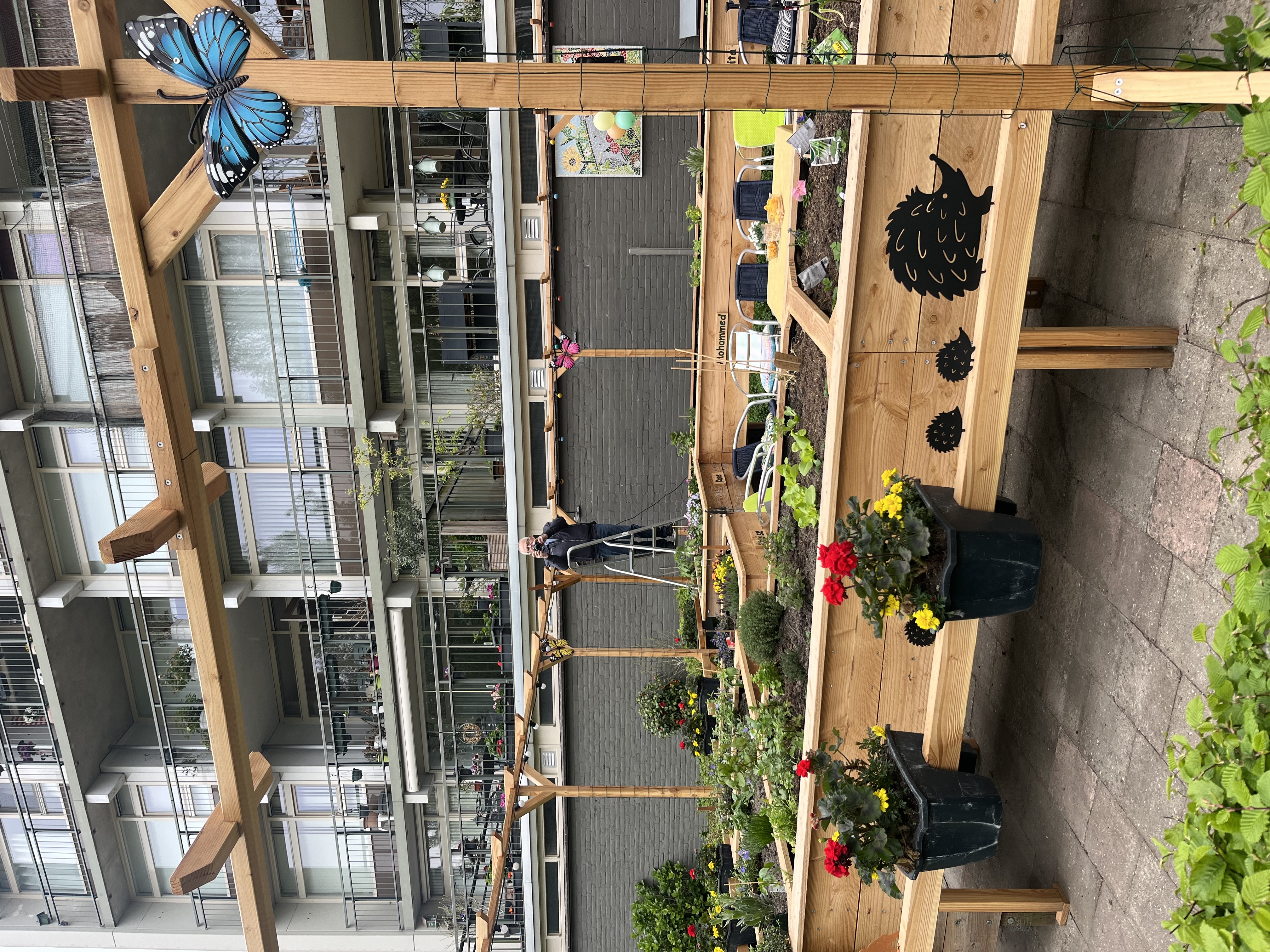 image-13