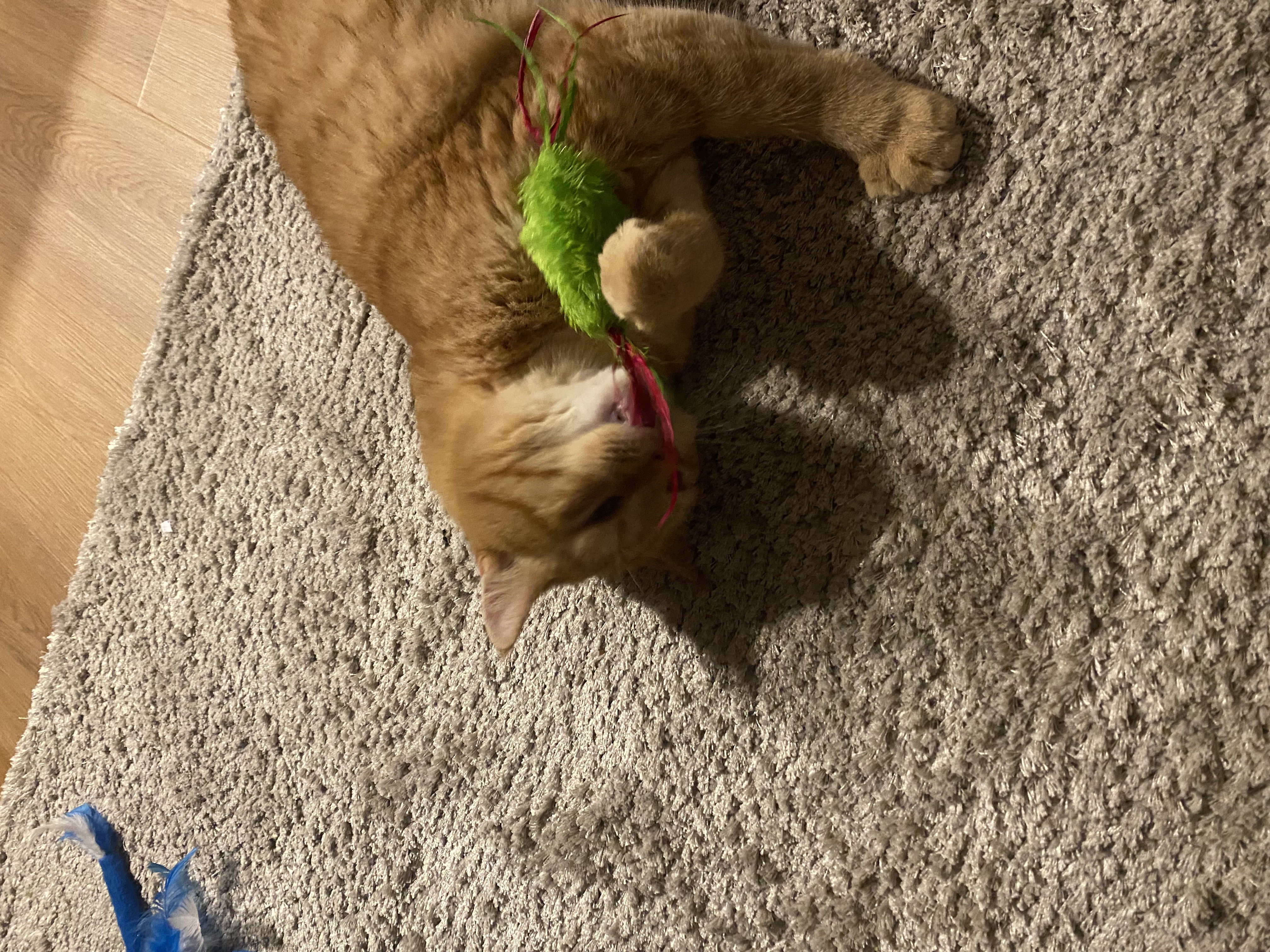 image-6