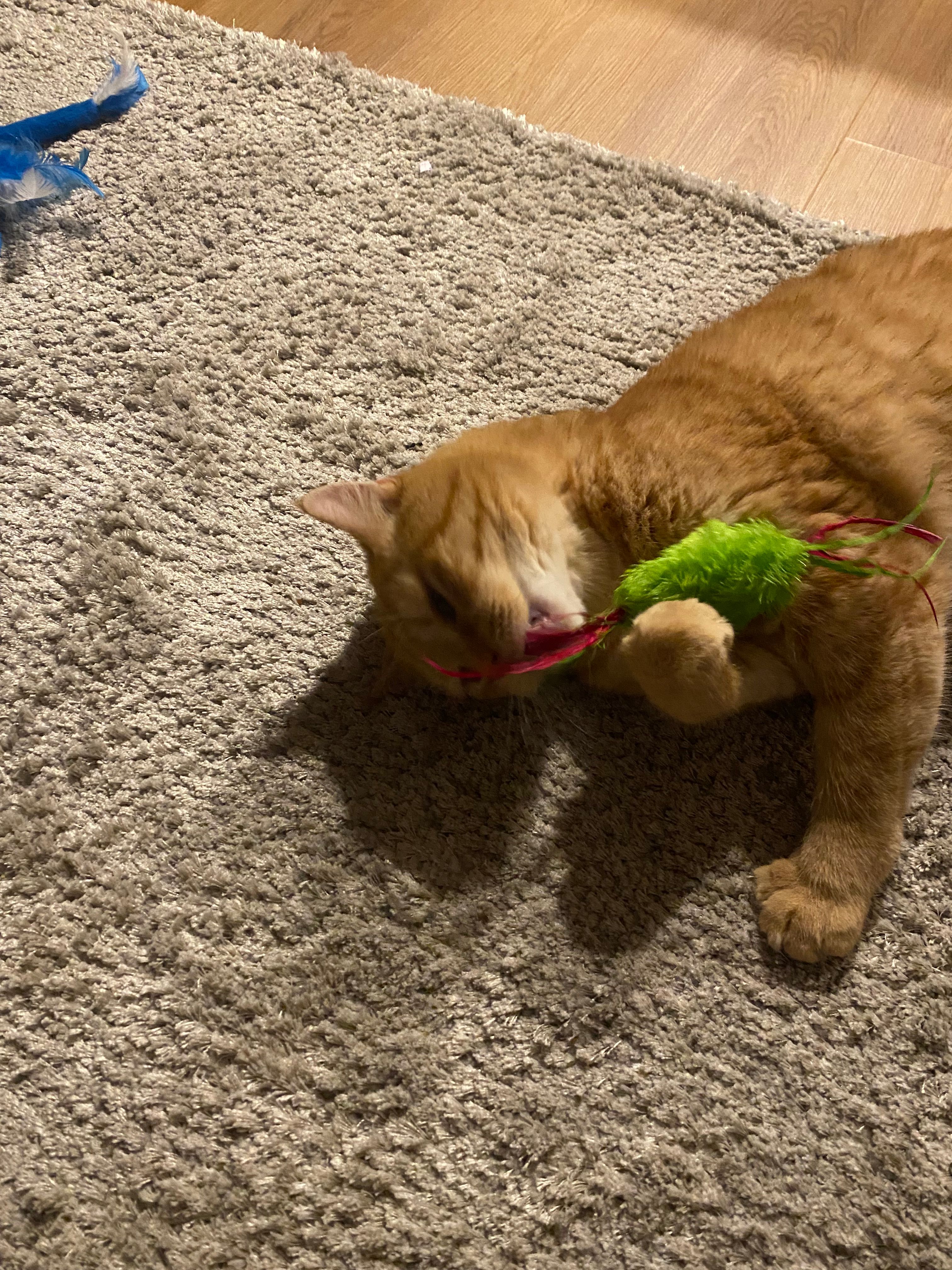 image-6